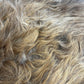 ONE OF THE KIND Icelandic Brown Grey Sheepskin - Black Sheep (White Light)