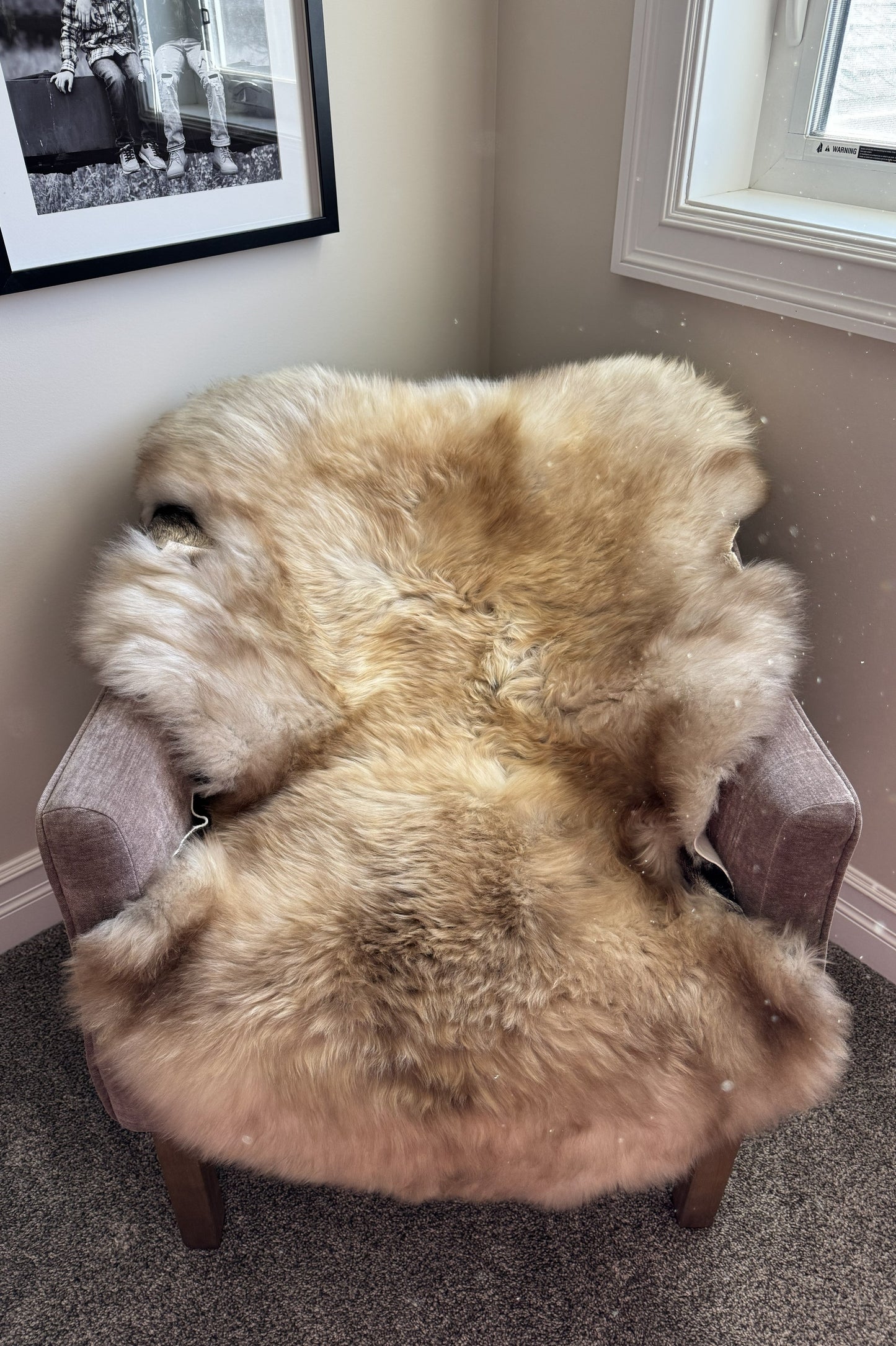 Unique Blend Beige Welsh Sheepskin
