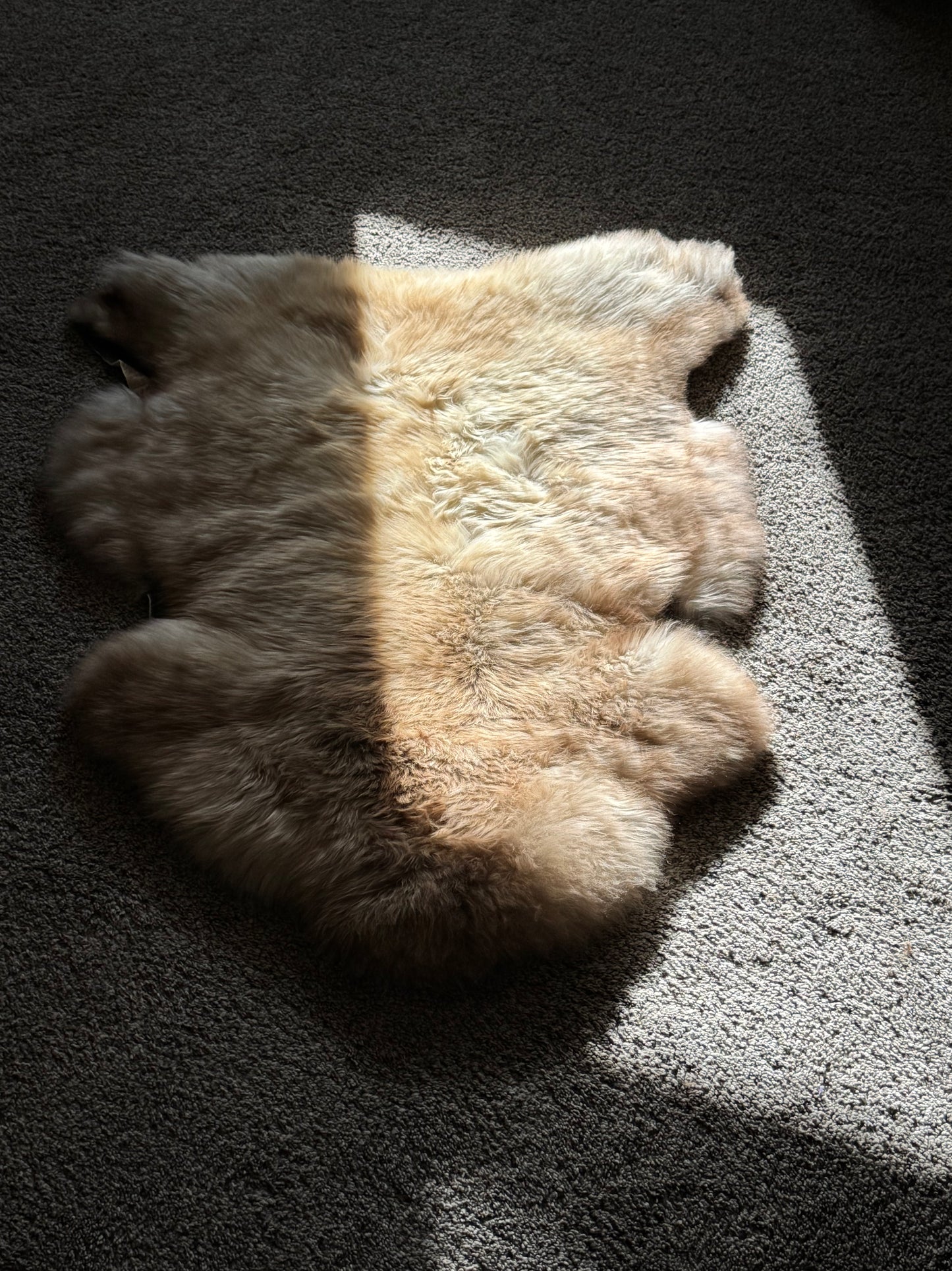 Unique Blend Beige Welsh Sheepskin