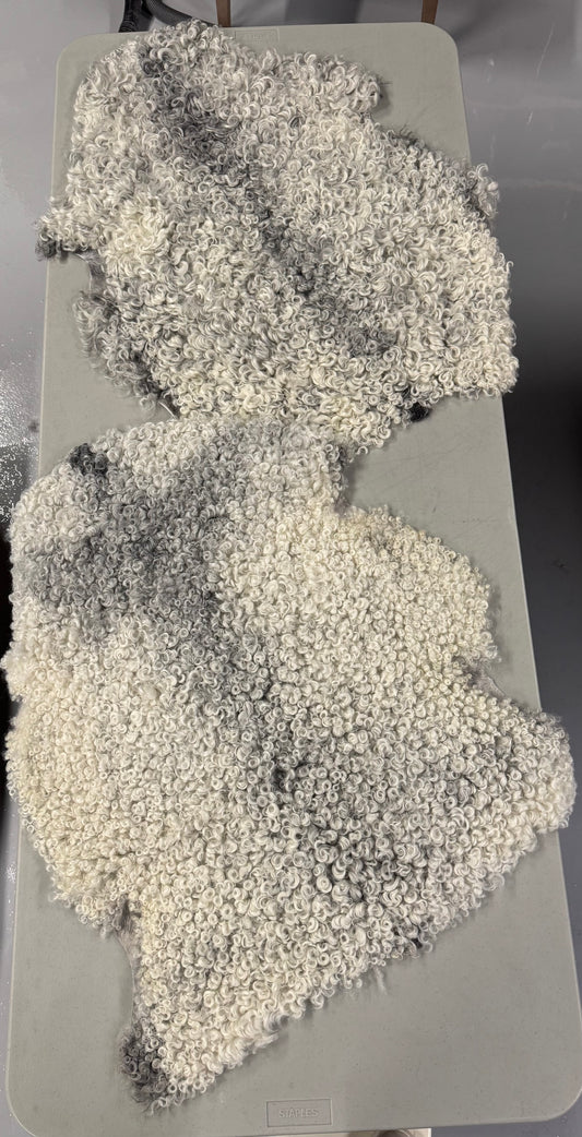 Pair of ONE OF A KIND Light Grey Gotland Sheepskin Medium Wool