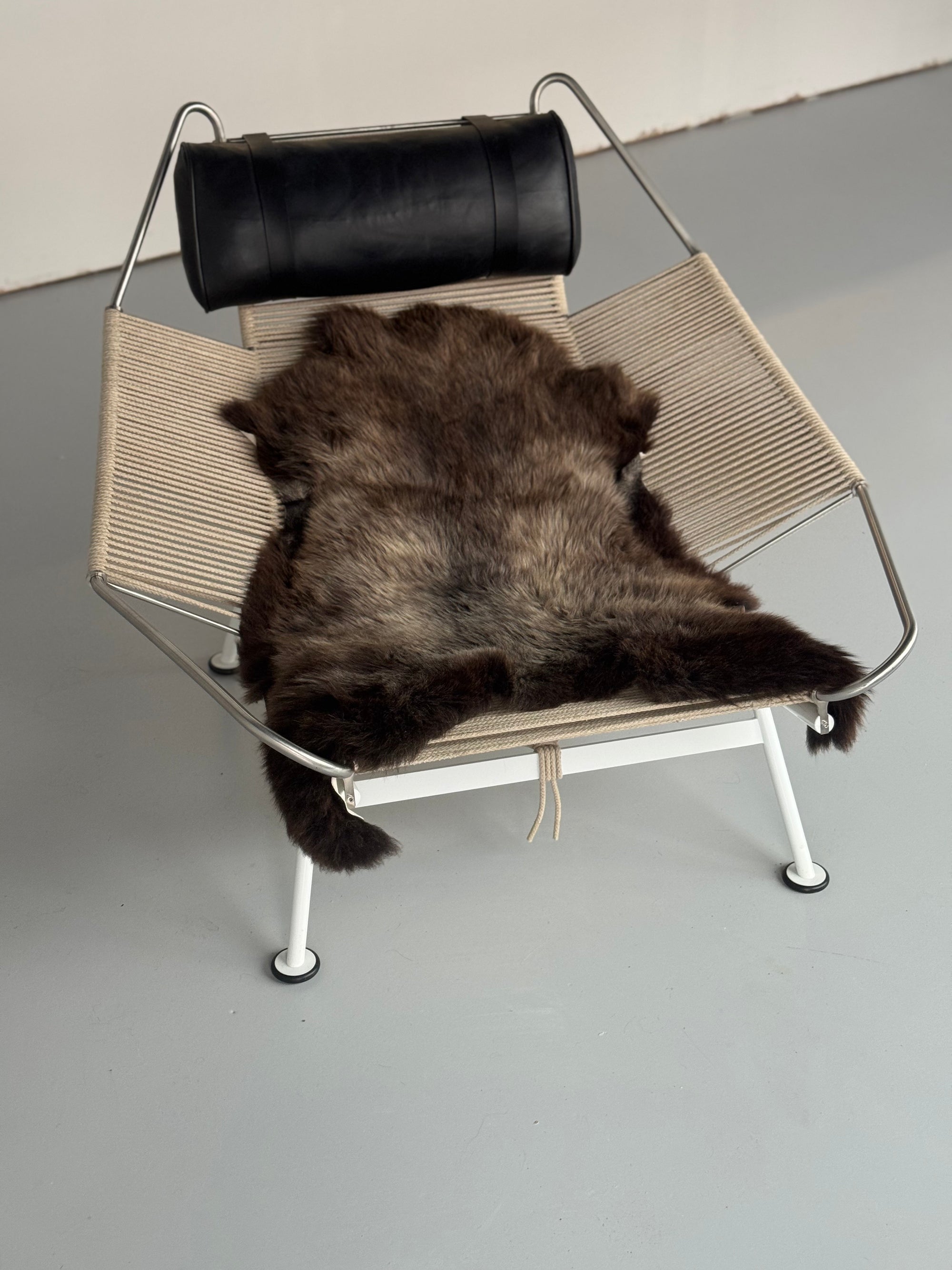 Collection Image