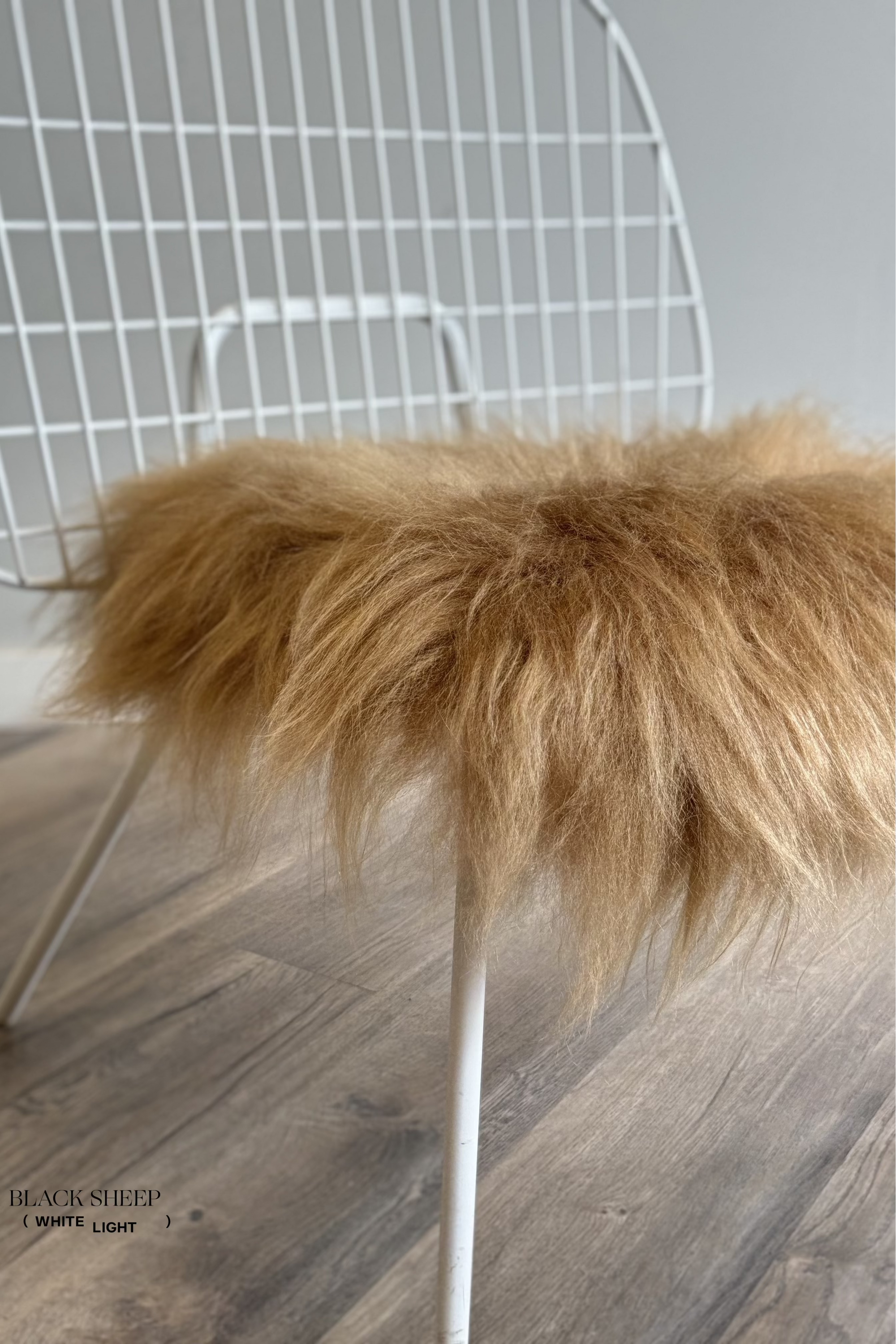 Camel Icelandic Sheepskin Chair Pad - Black Sheep (White Light)