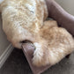 Unique Blend Beige Welsh Sheepskin