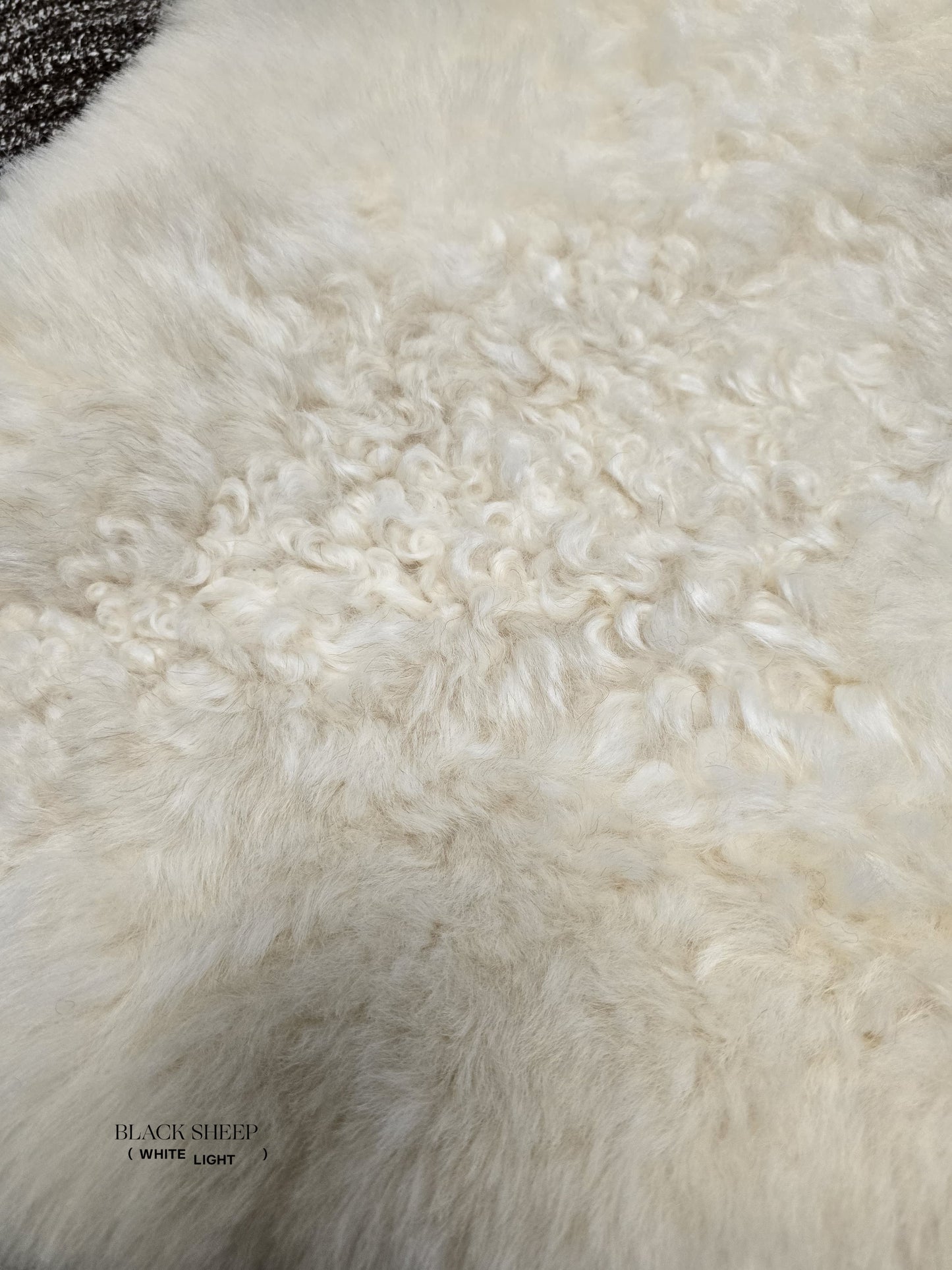 ONE OF THE KIND Icelandic Shorn White/Cream Sheepskin - Black Sheep (White Light)