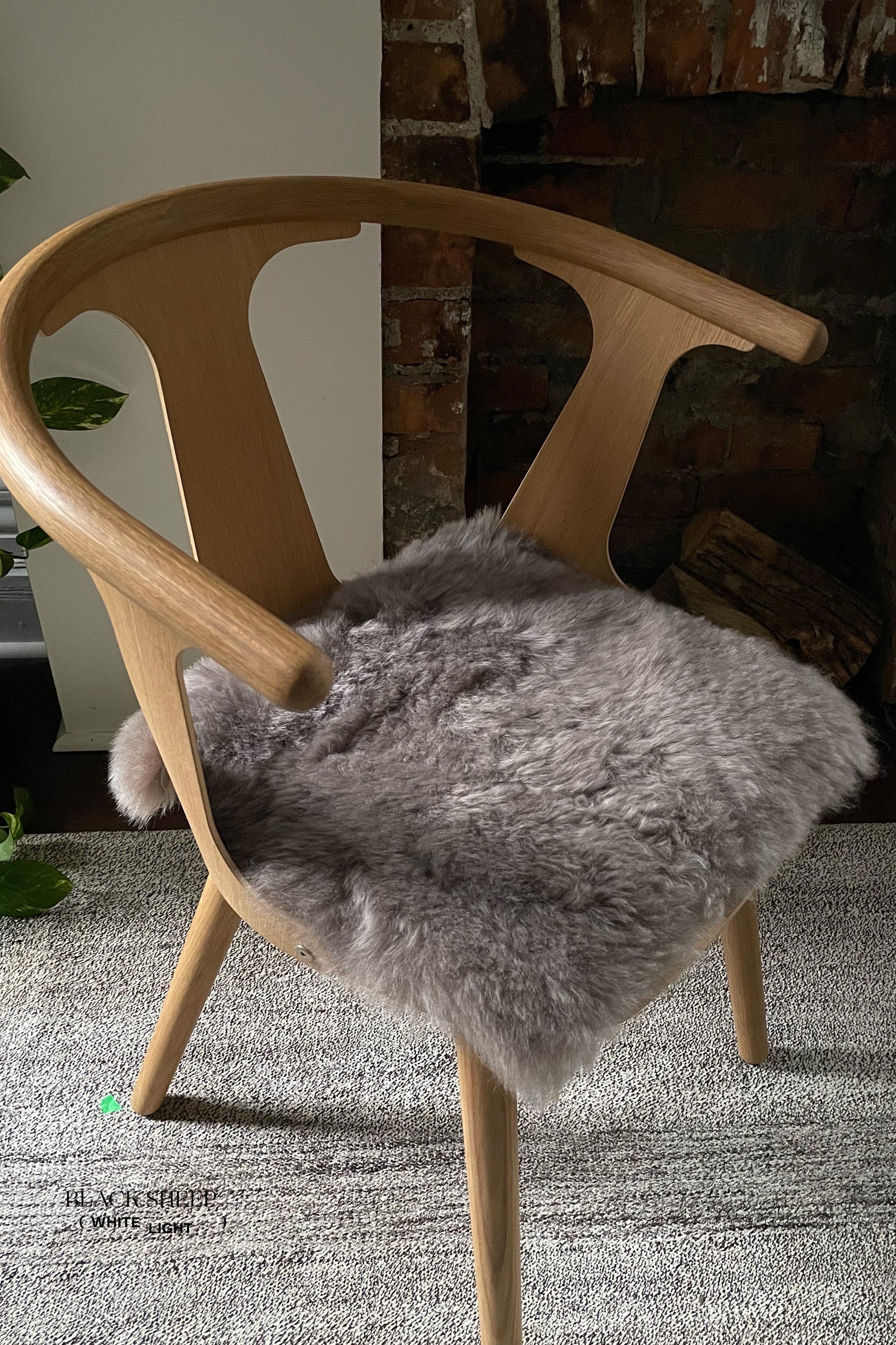 Shorn Mineral Icelandic Sheepskin Chair Pad - Black Sheep (White Light)
