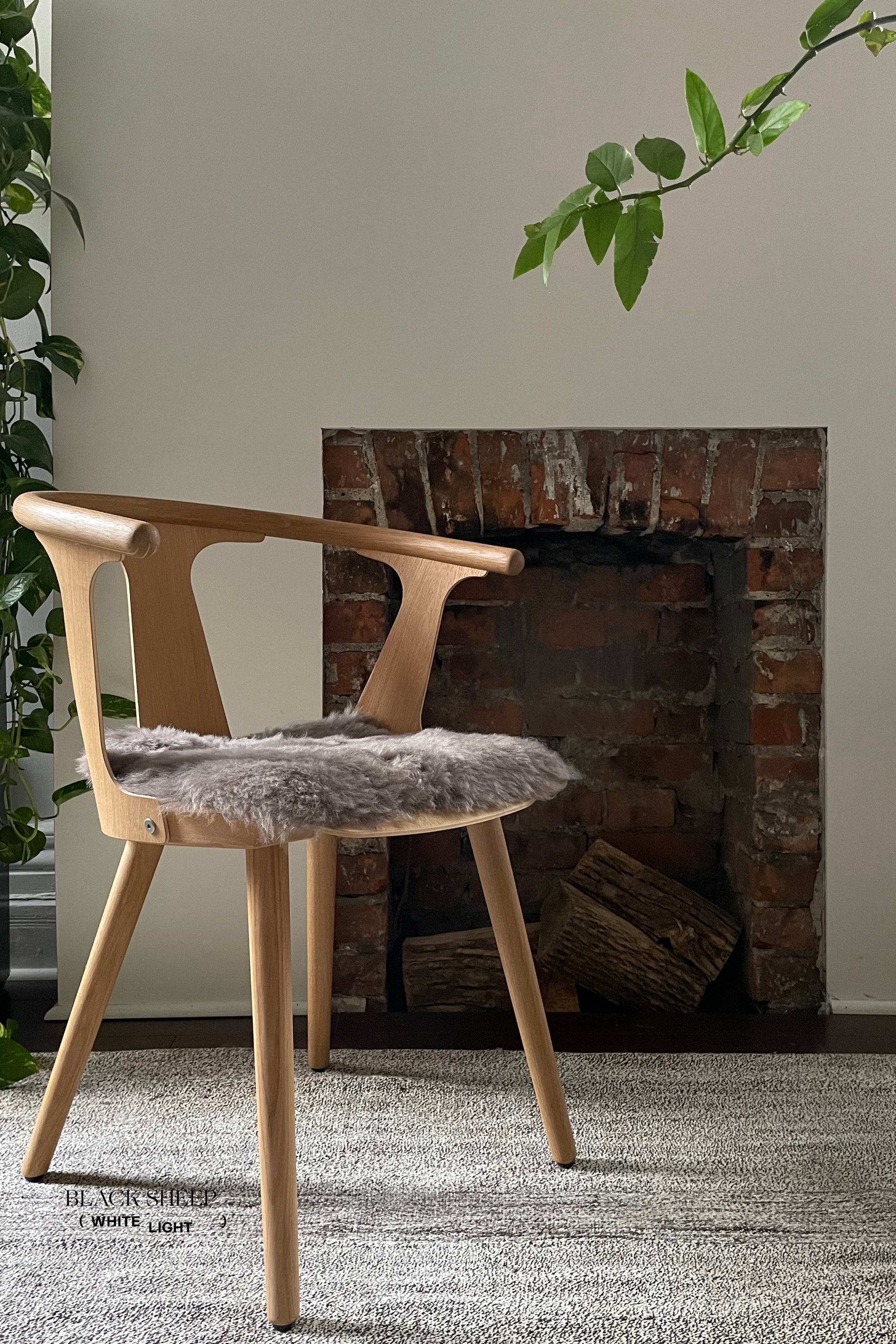 Shorn Mineral Icelandic Sheepskin Chair Pad - Black Sheep (White Light)