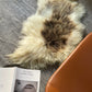 Brown Spotted Icelandic Sheepskin | Random - Black Sheep (White Light)