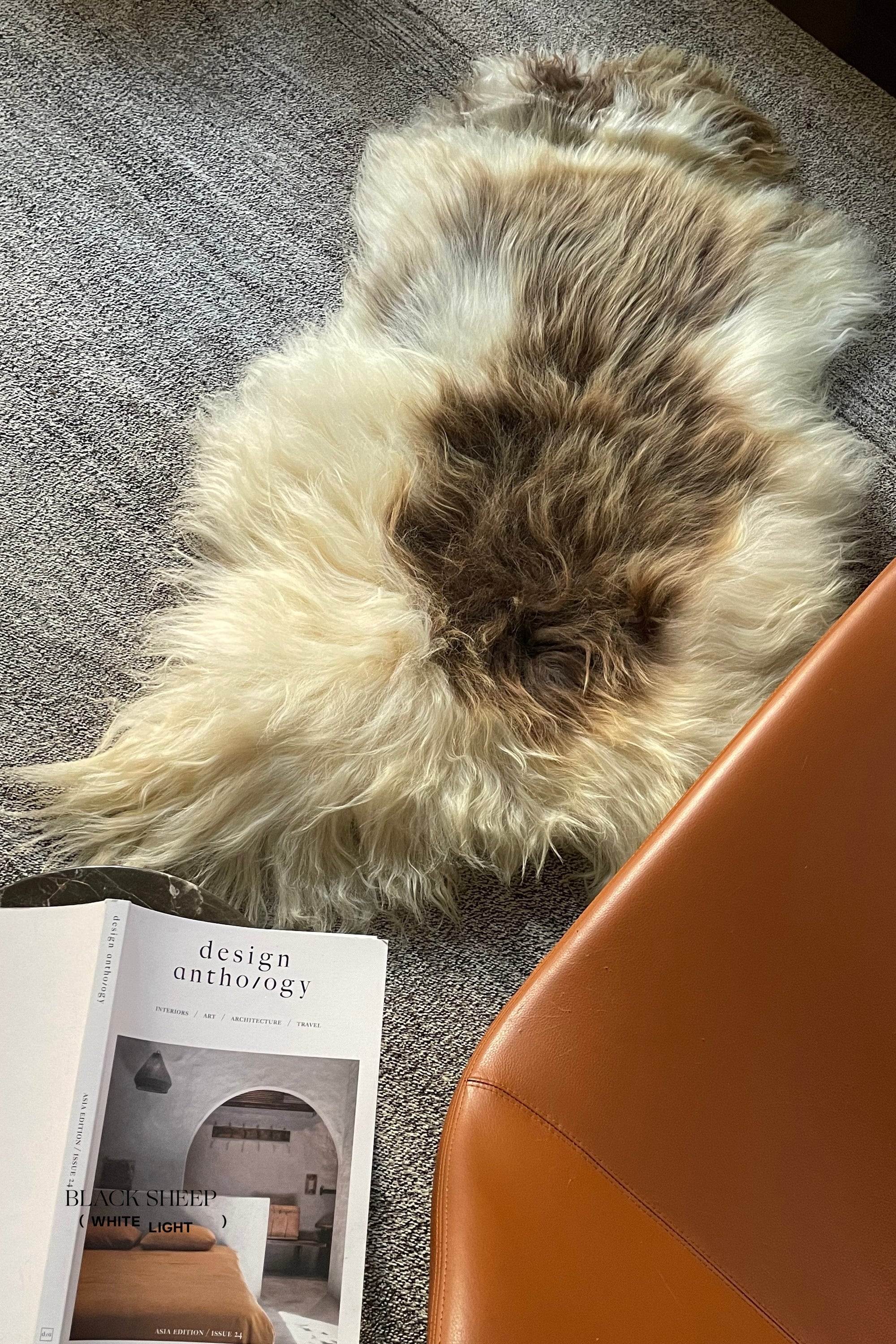 Brown Spotted Icelandic Sheepskin | Random - Black Sheep (White Light)