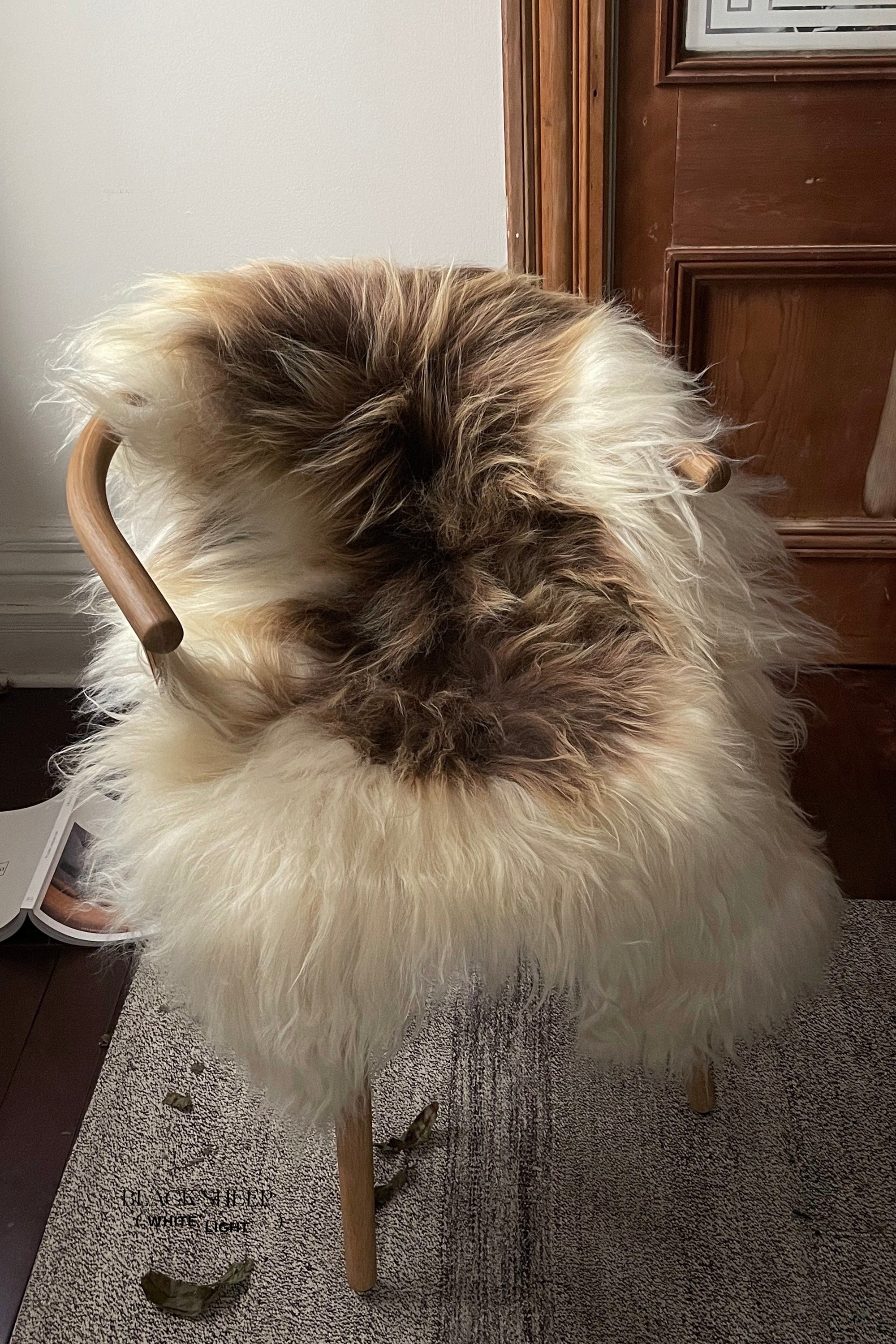 Brown Spotted Icelandic Sheepskin | Random - Black Sheep (White Light)