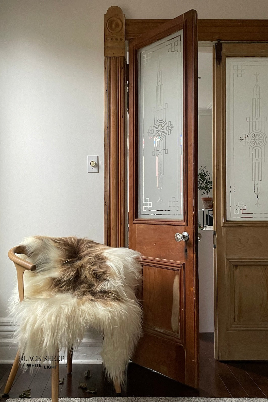 Brown Spotted Icelandic Sheepskin | Random - Black Sheep (White Light)