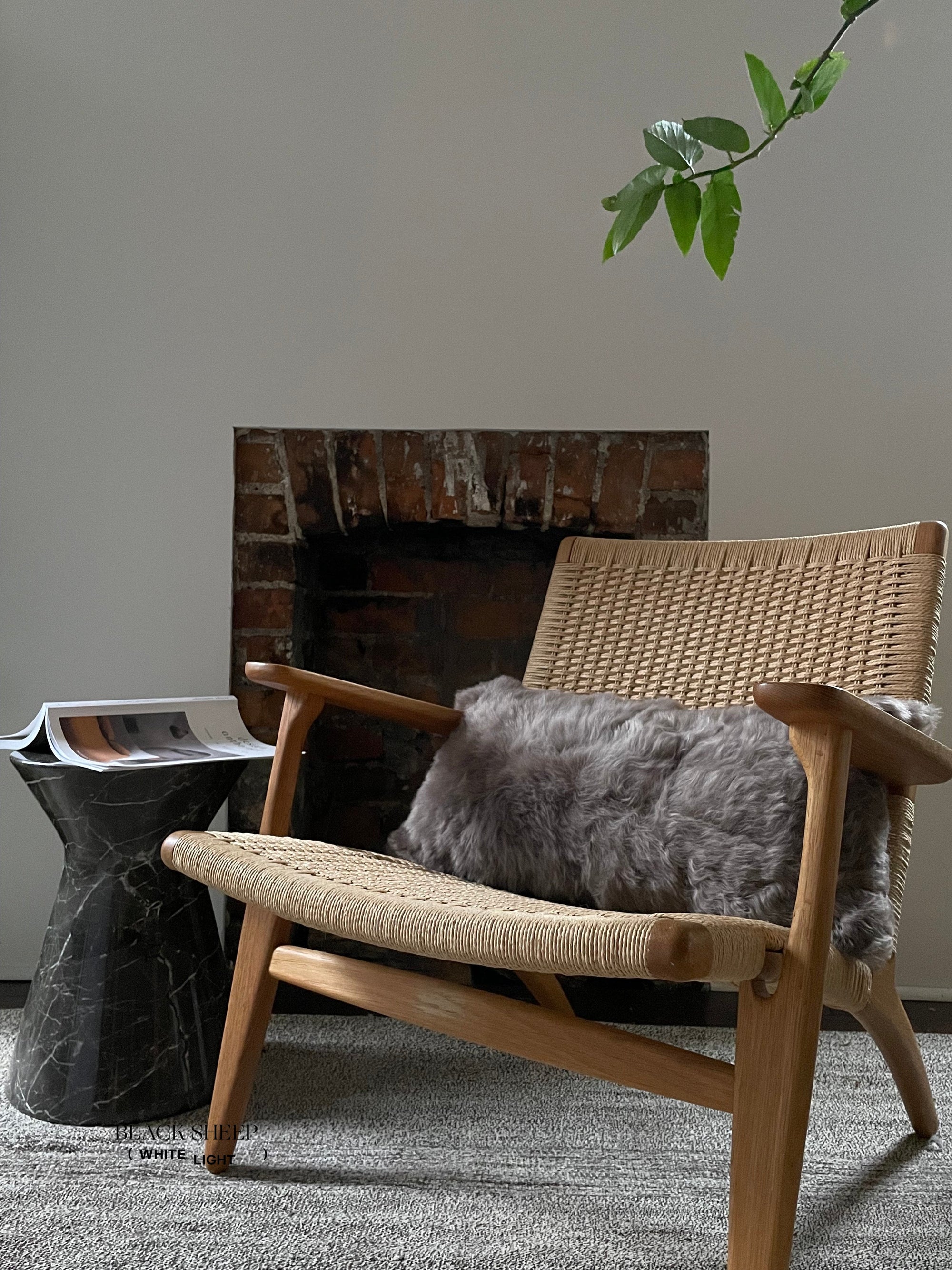Rectangular Shorn Taupe Icelandic Sheepskin Pillow Cover - Black Sheep (White Light)