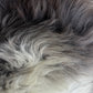 ONE OF A KIND Welsh Dark Edges Sheepskin