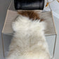 ONE OF A KIND White with Brown top Icelandic Sheepskin
