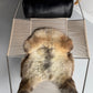 ONE OF A KIND Welsh Blend Beige Sheepskin
