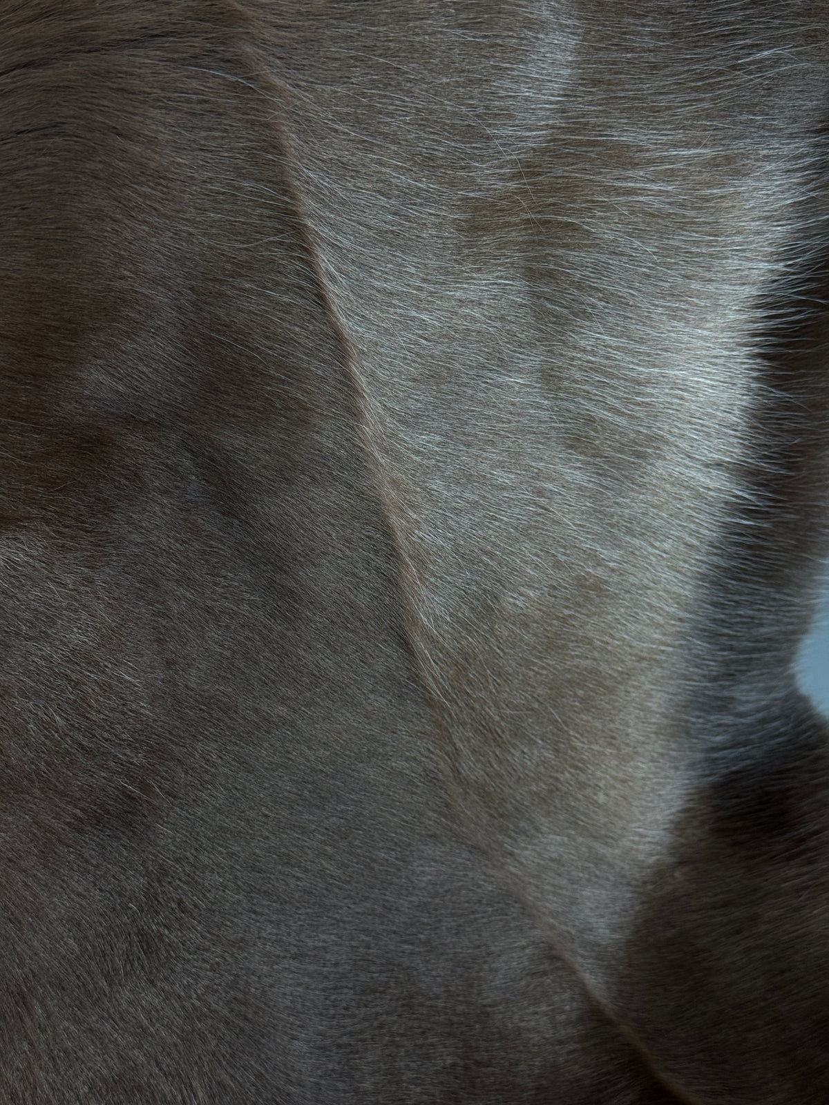B Grade Reindeer Hide