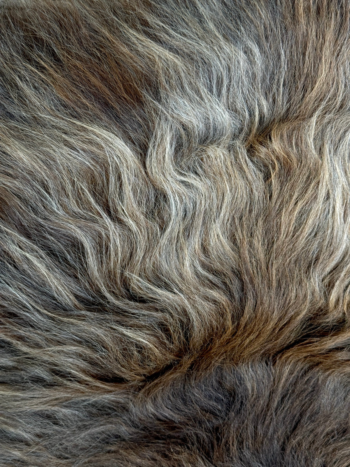 ONE OF A KIND Rare Rusty Brown Icelandic Sheepskin