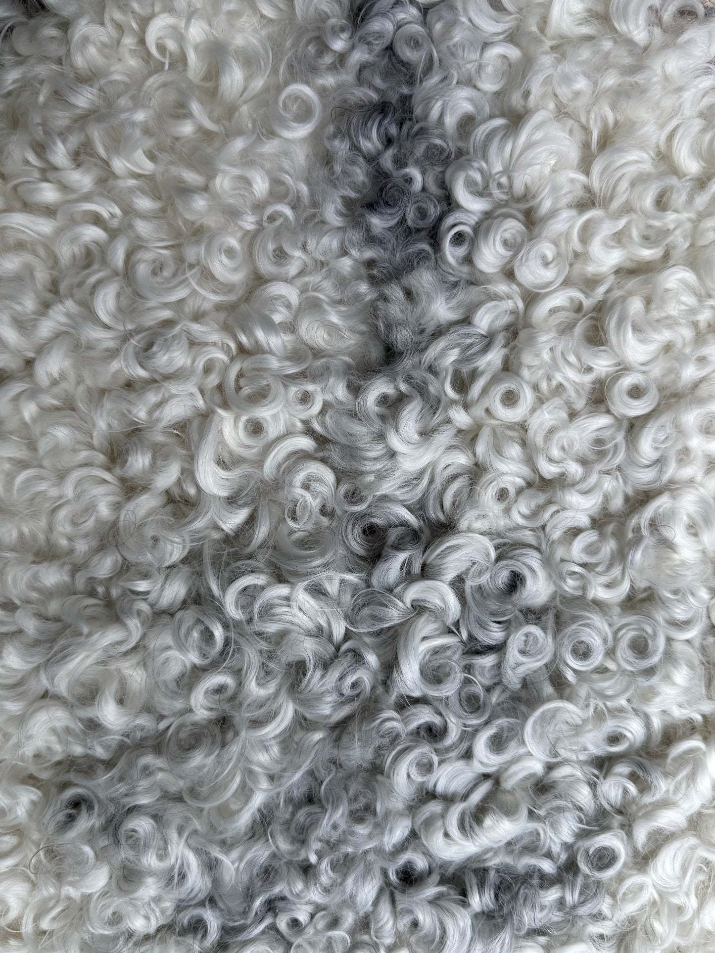 ONE OF A KIND White Medium Wool Gotland Sheepskin with baby grey