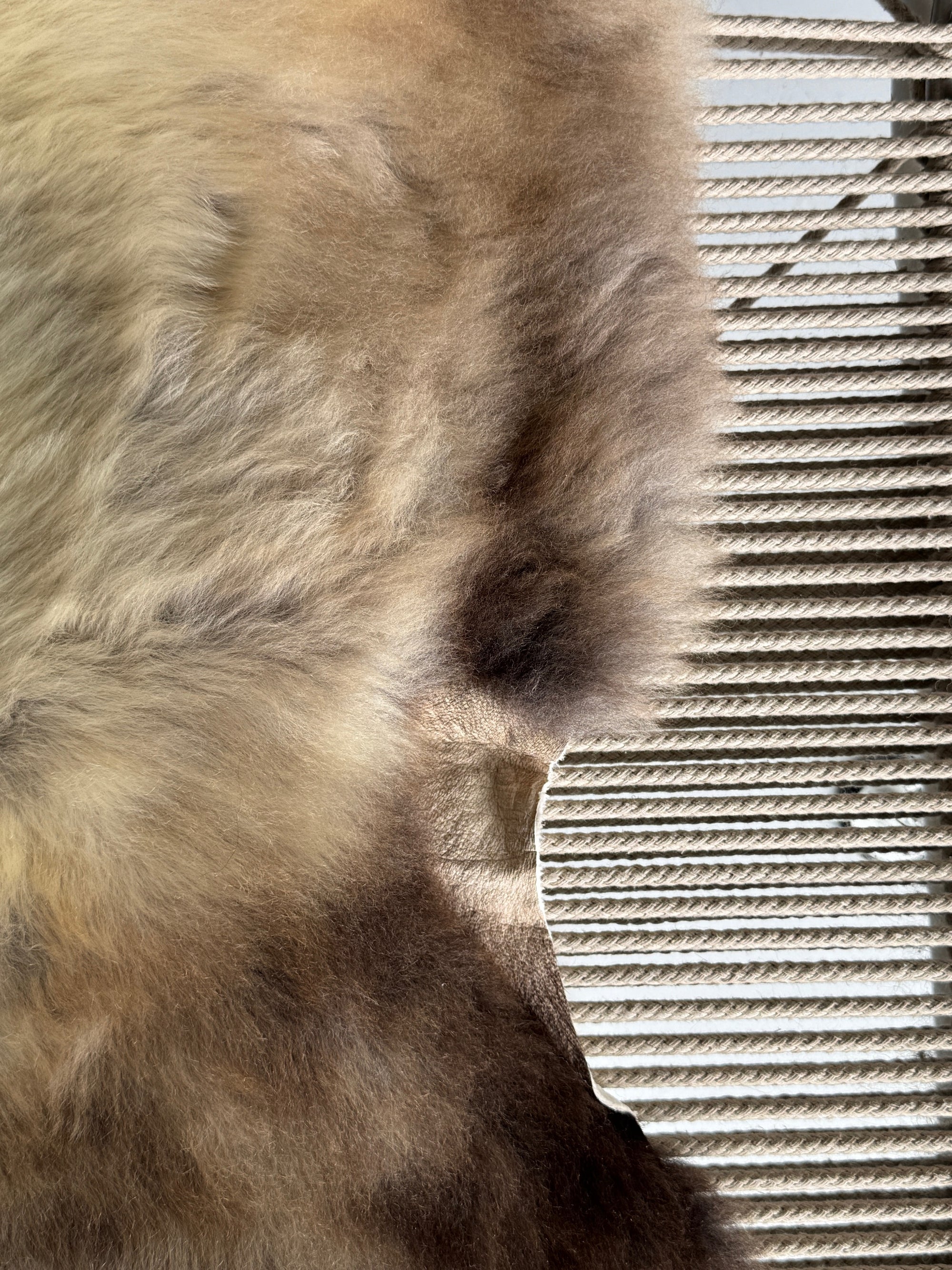 ONE OF A KIND Welsh Blend Beige Sheepskin
