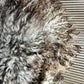 ONE OF A KIND Gotland Long Wool Grey with Brown curls Sheepskin