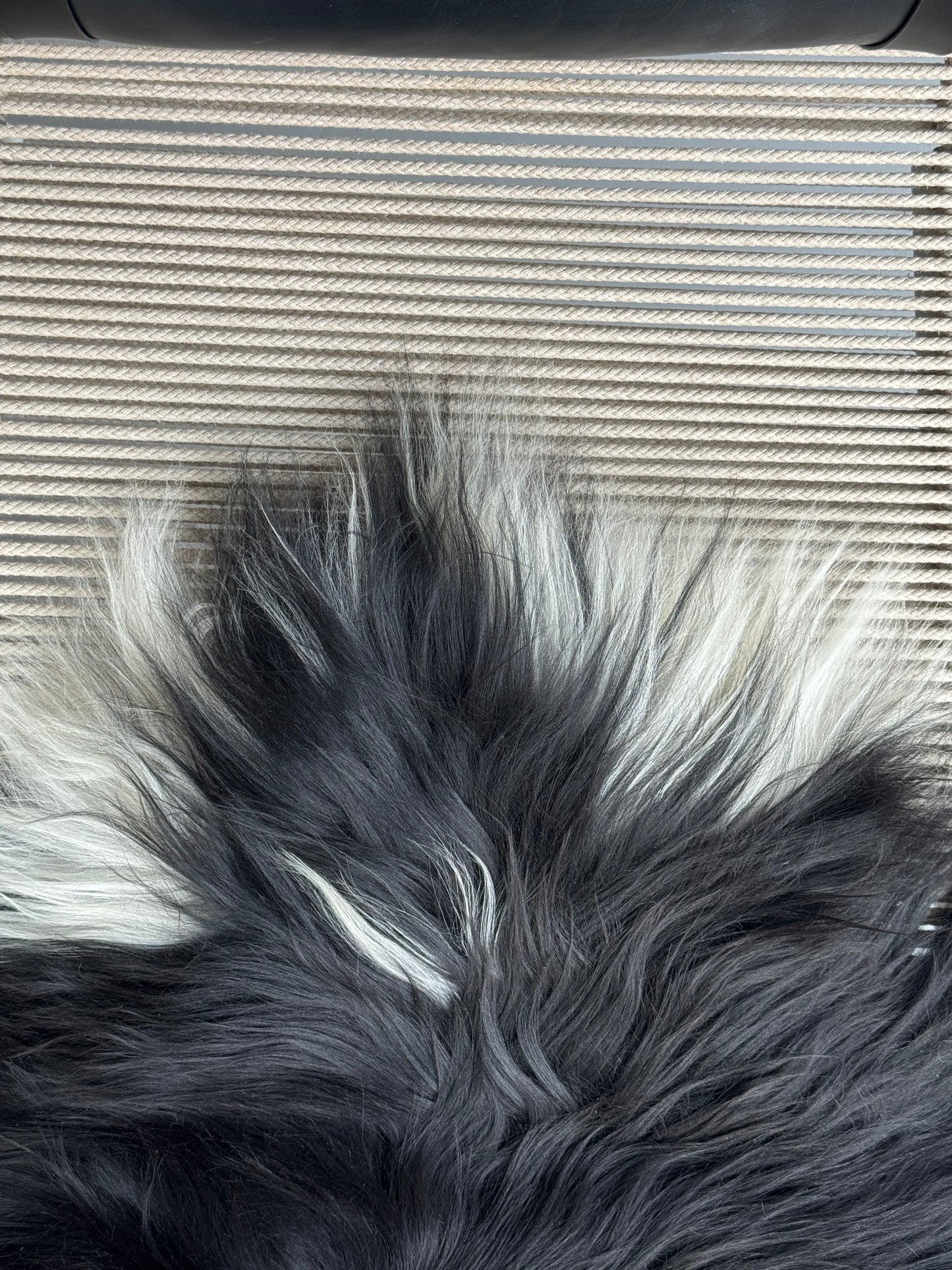 ONE OF A KIND Black/White Icelandic Sheepskin