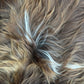 ONE OF A KIND Natural Bright Brown with White Icelandic Sheepskin