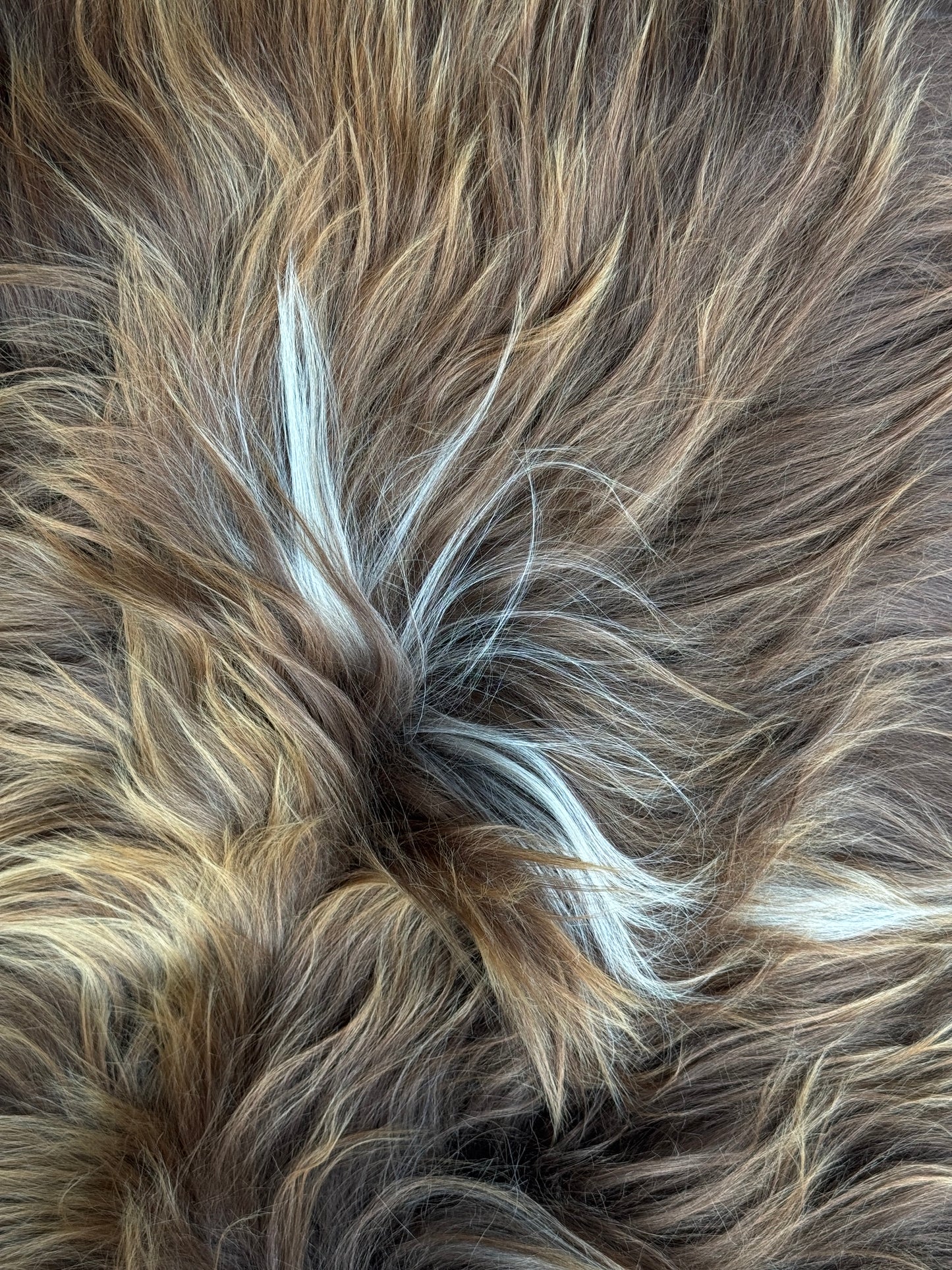 ONE OF A KIND Natural Bright Brown with White Icelandic Sheepskin