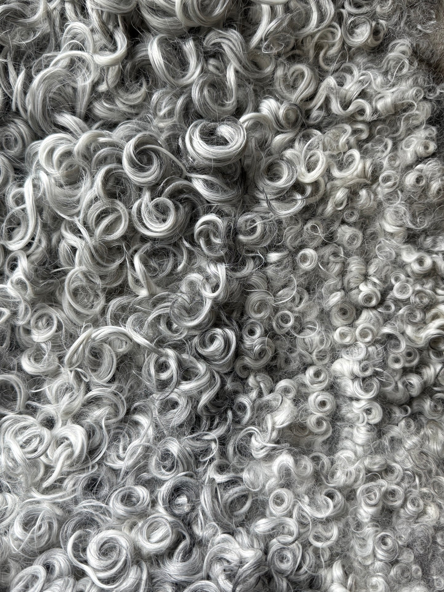 ONE OF A KIND Silver Medium Wool Gotland Sheepskin