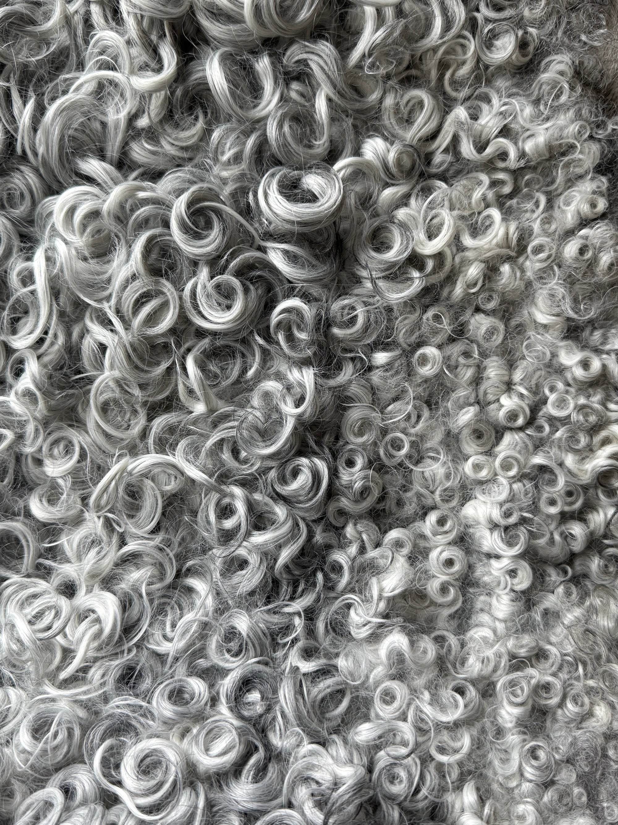 ONE OF A KIND Silver Medium Wool Gotland Sheepskin