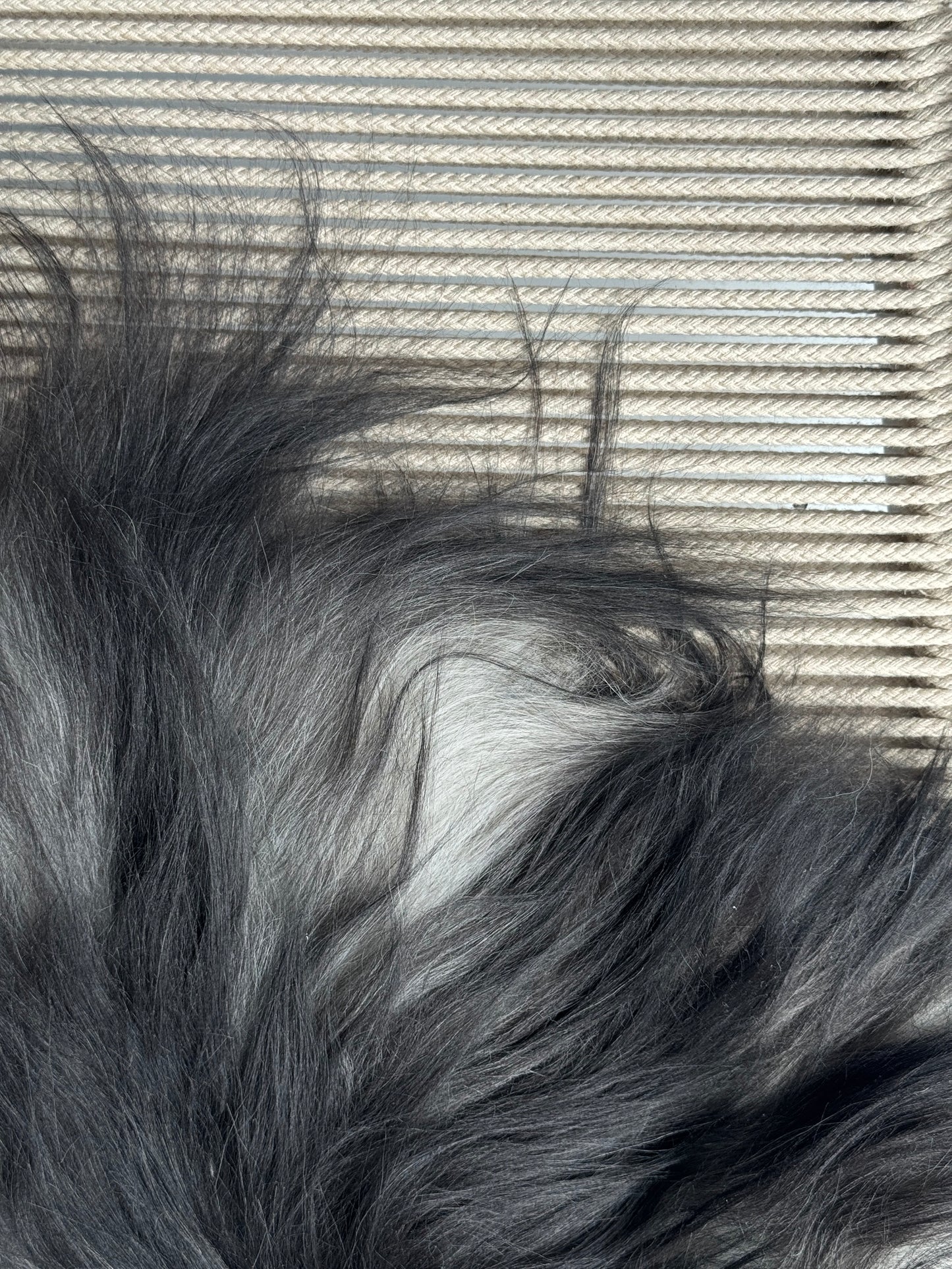 ONE OF A KIND Small Dark Natural Grey Icelandic Sheepskin