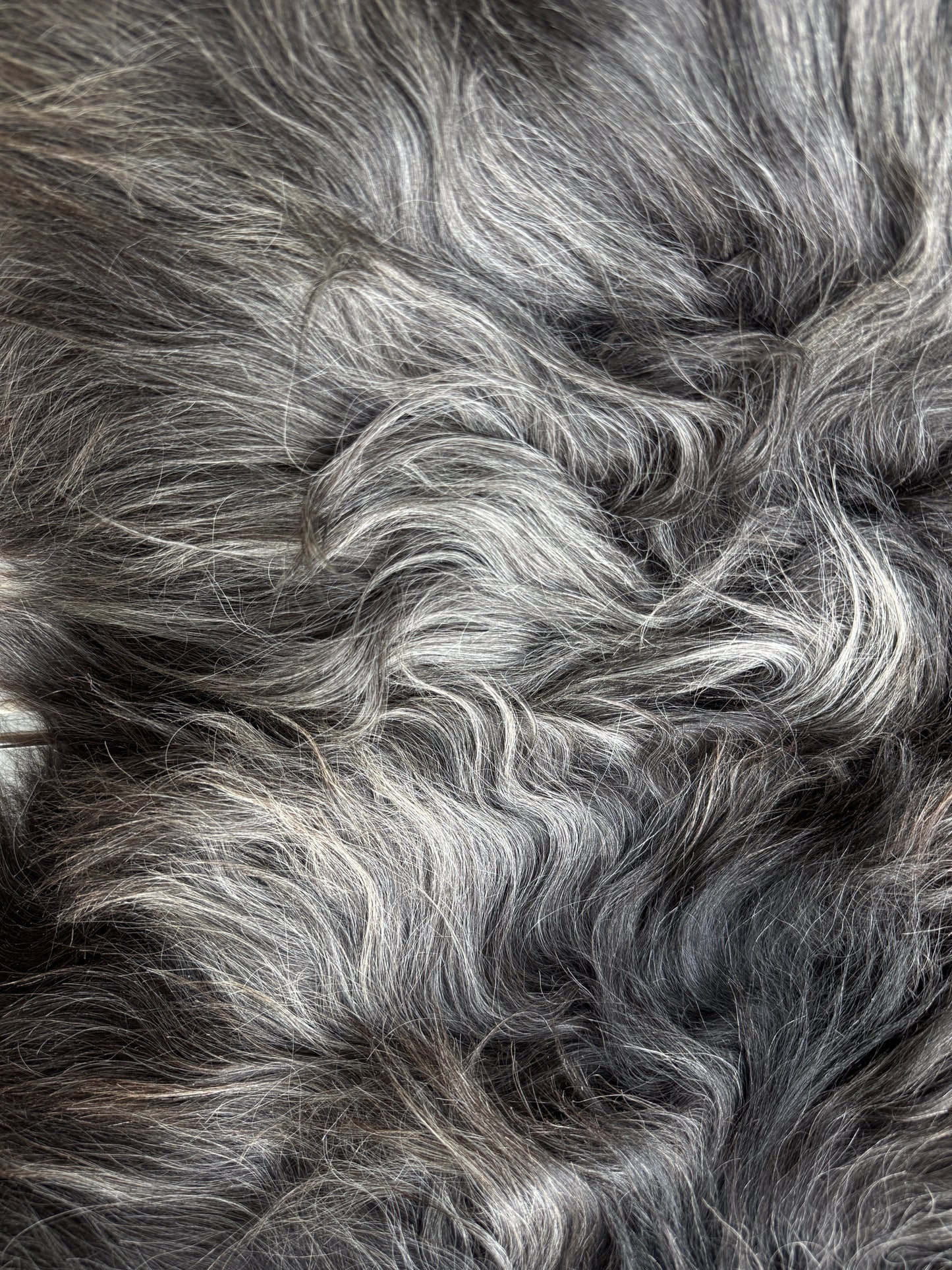 ONE OF A KIND XL Dark Grey Icelandic Sheepskin
