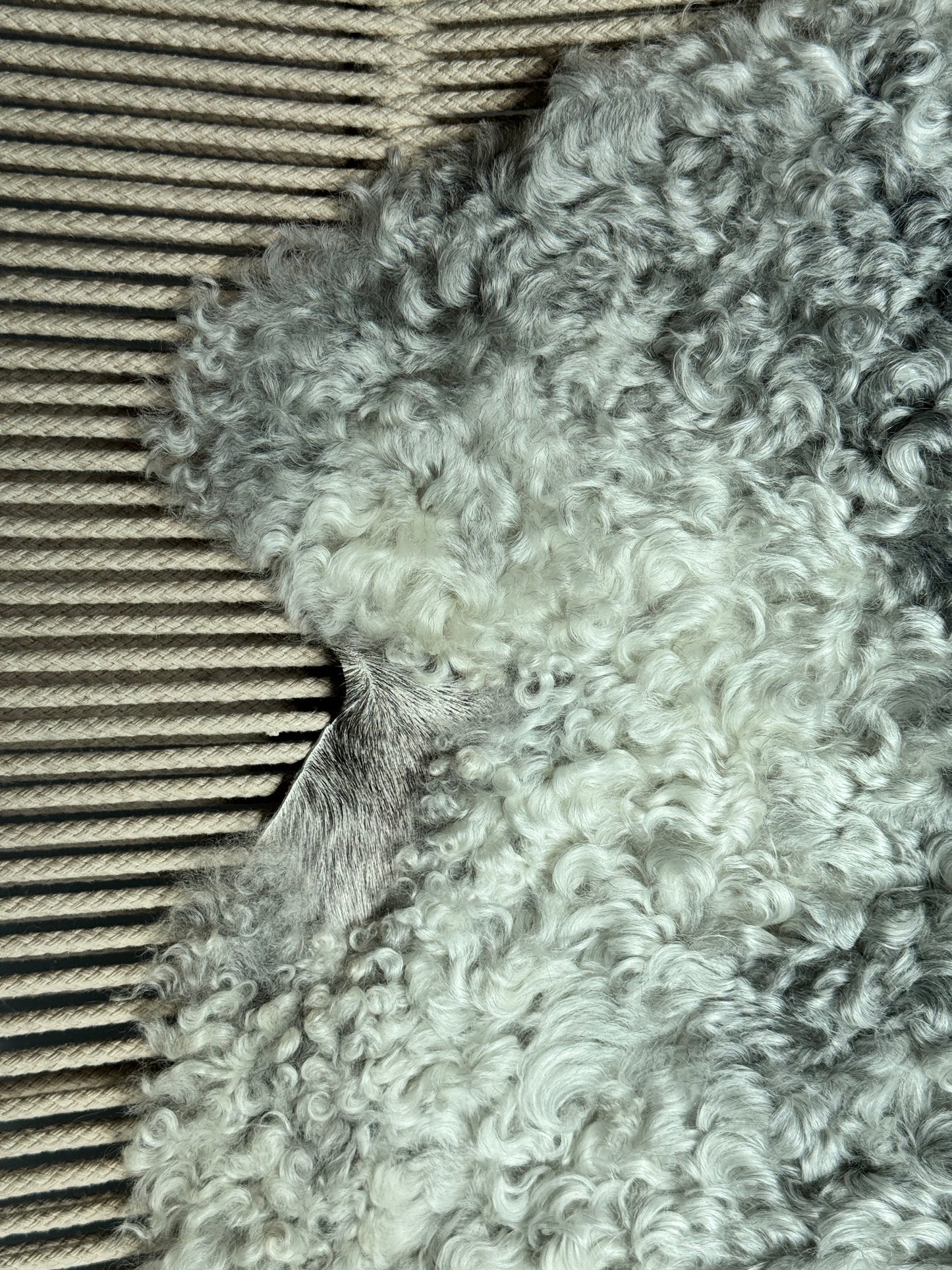 ONE OF A KIND Silver Medium Wool Gotland Sheepskin