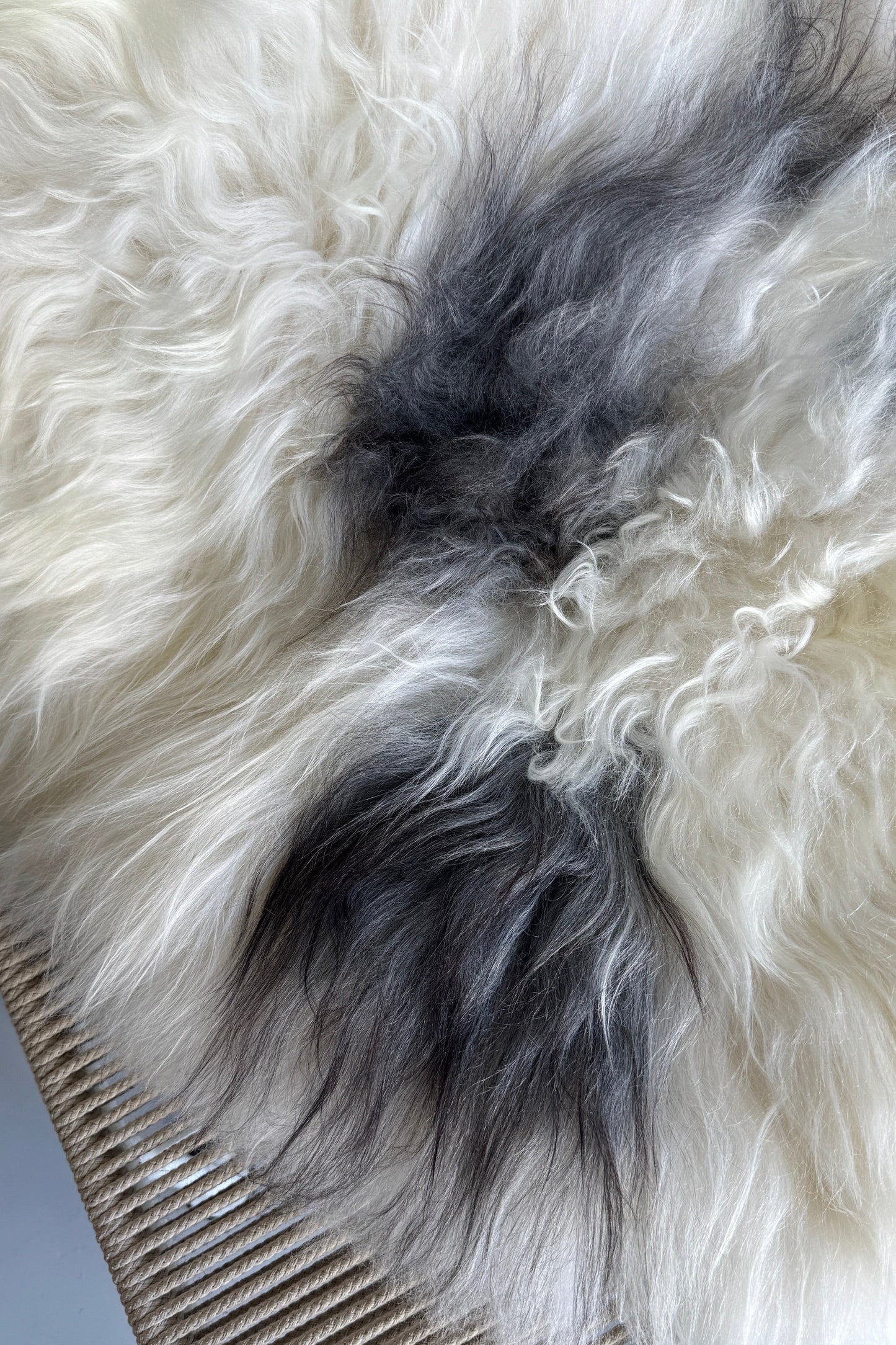 ONE OF A KIND White with Light Grey Spots Icelandic Sheepskin