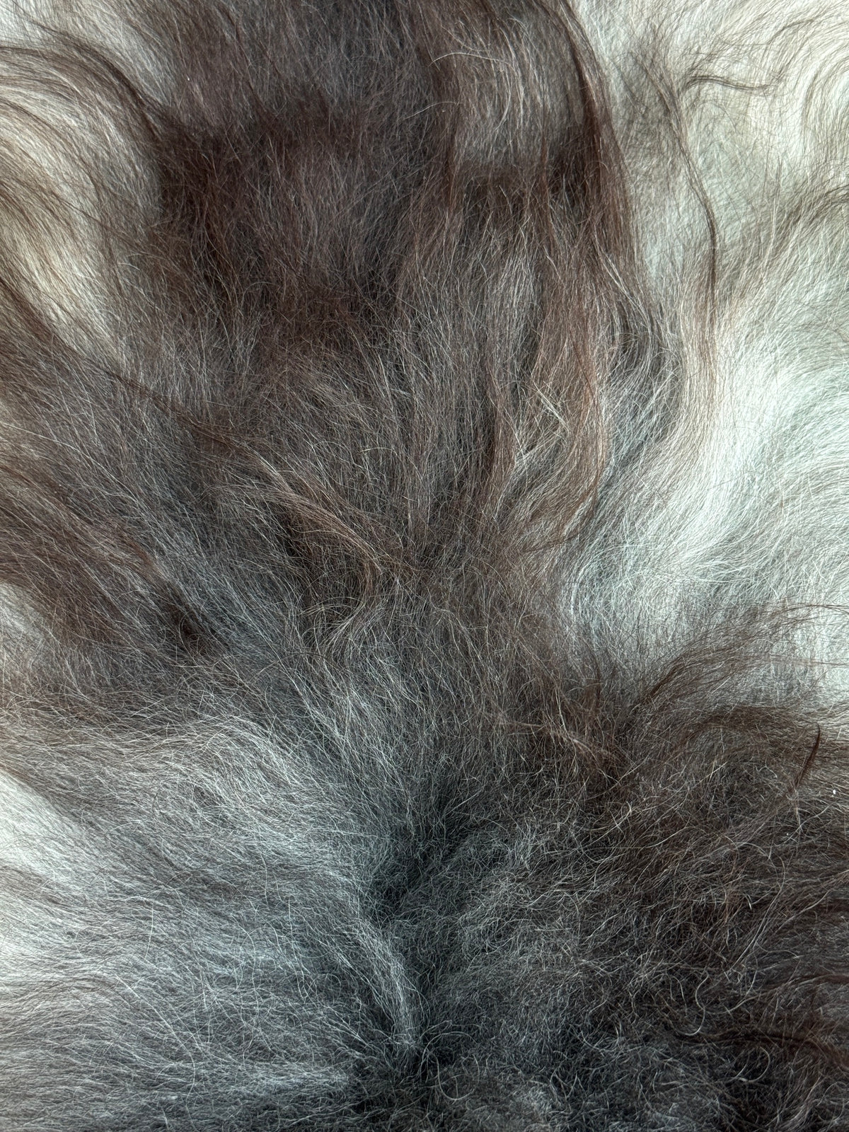 ONE OF A KIND Natural Light/Dark Grey Mix Icelandic Sheepskin