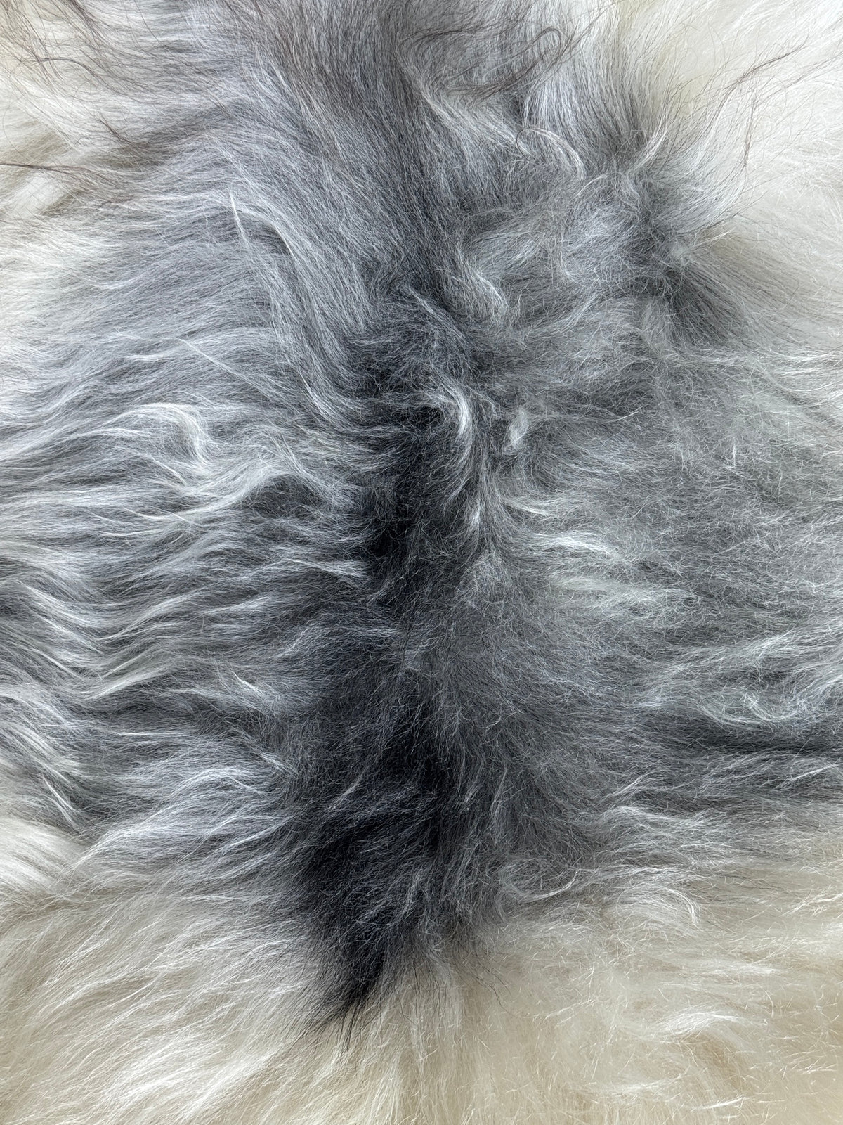 ONE OF A KIND Spotted Icelandic Sheepskin
