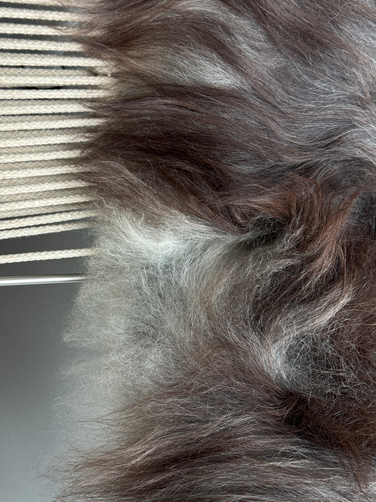 ONE OF A KIND Natural Dark Grey Icelandic Sheepskin