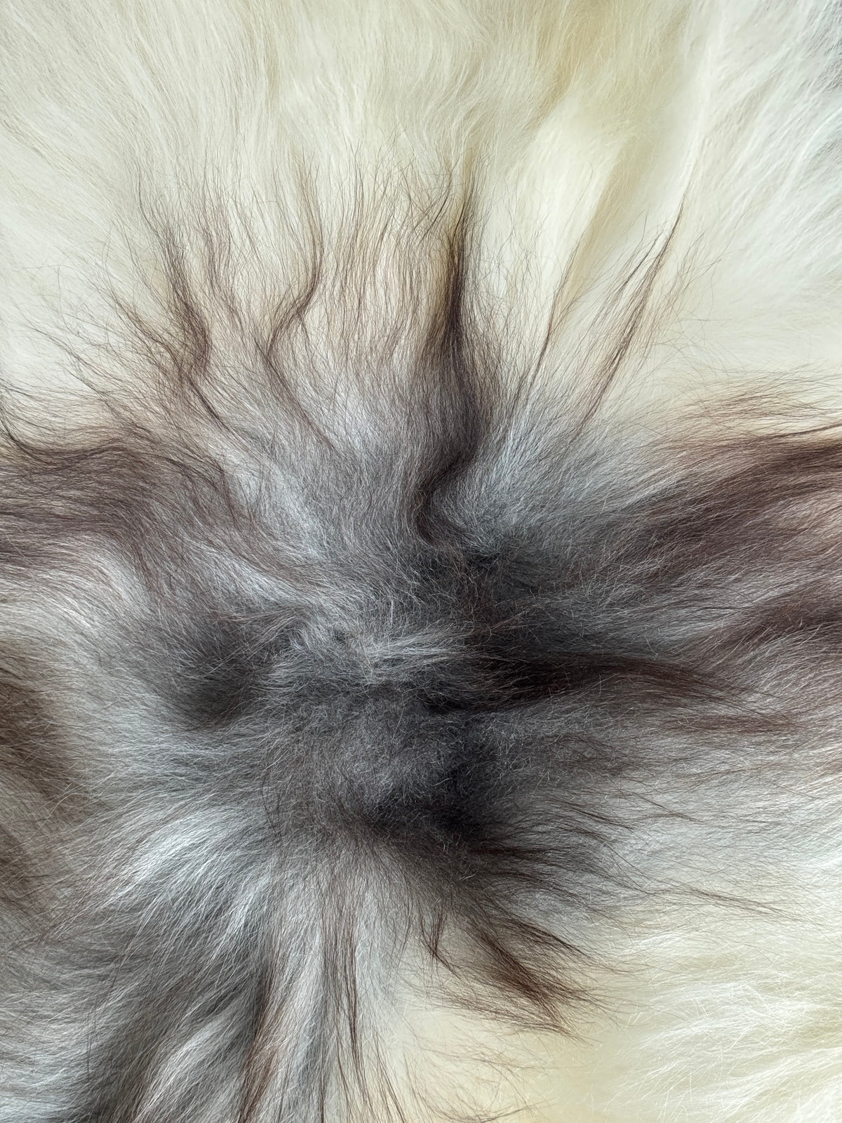 ONE OF A KIND White/Grey/Brown Spots Icelandic Sheepskin