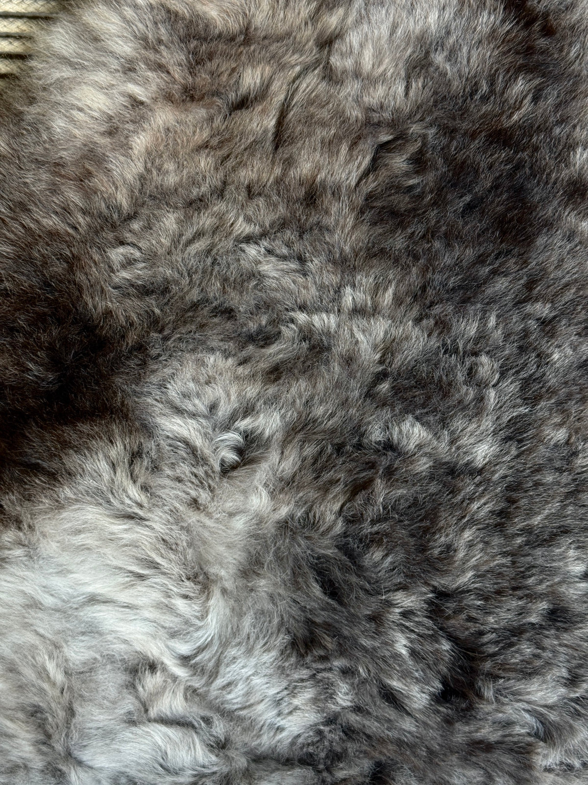 ONE OF A KIND Shorn Grey Dark Edges Icelandic Sheepskin
