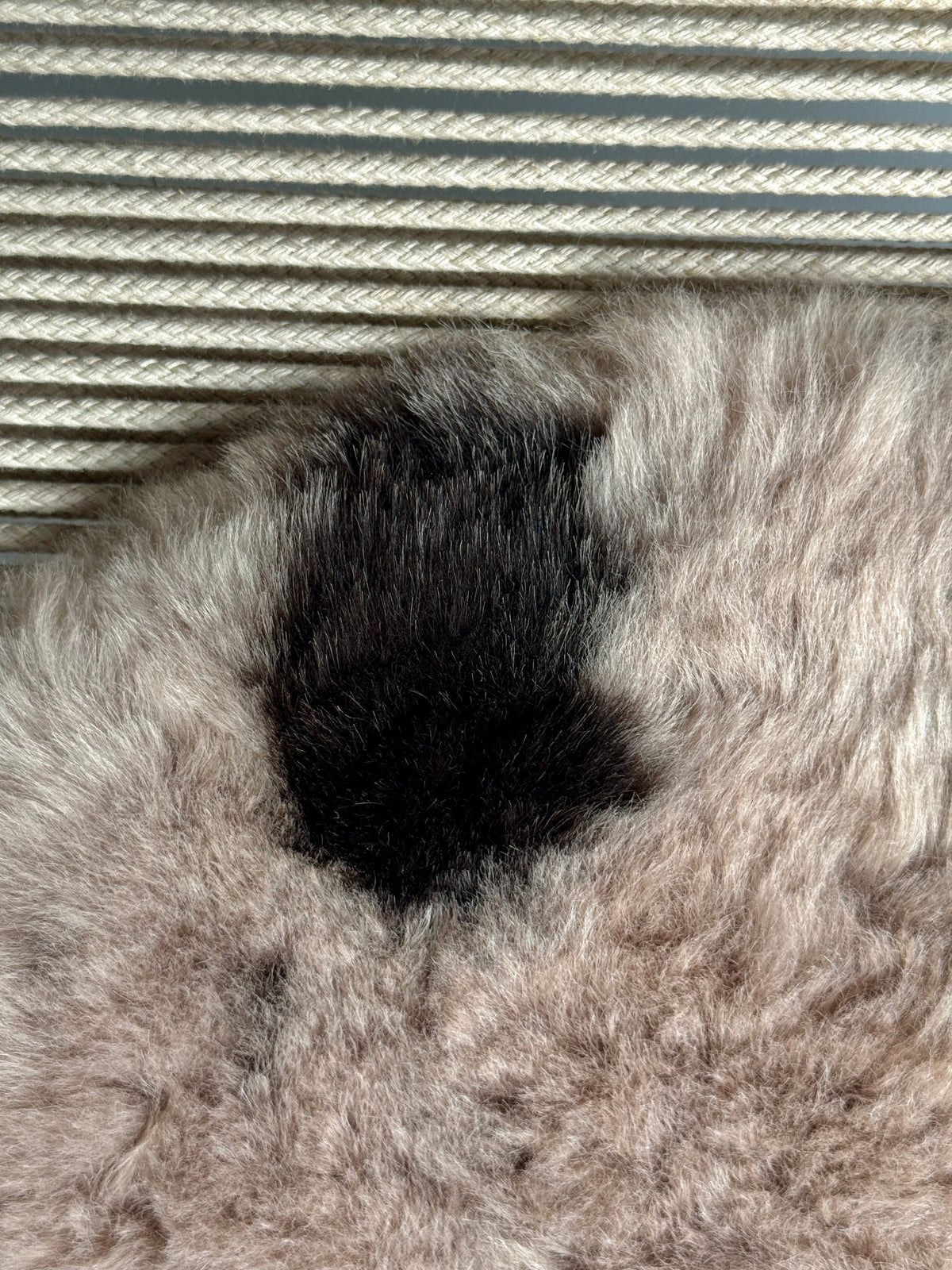 ONE OF A KIND Shorn Nude Icelandic Sheepskin