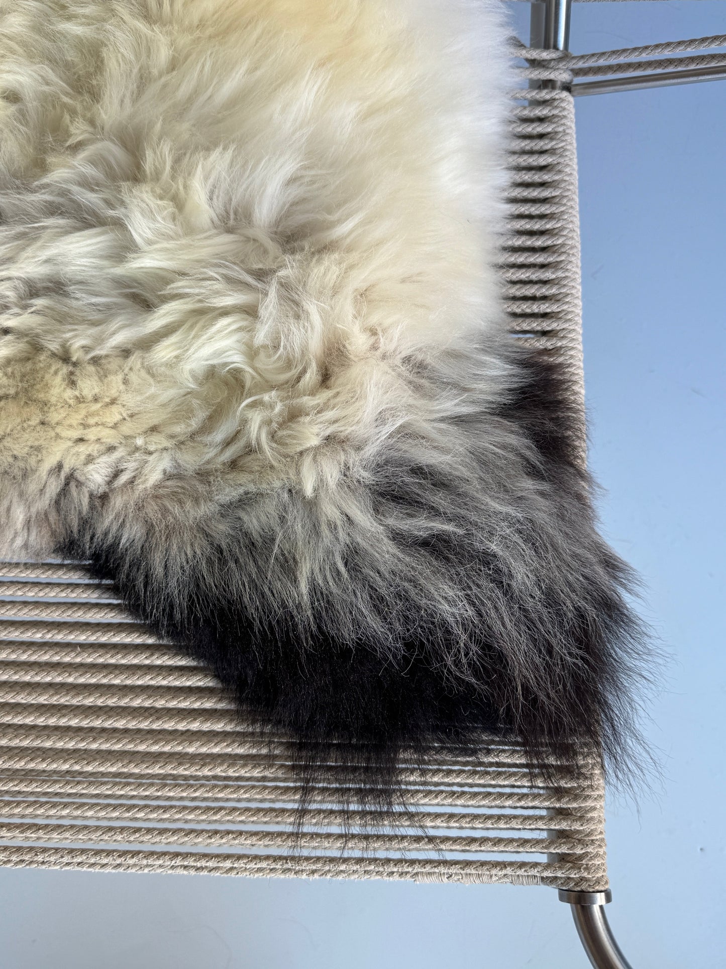ONE OF A KIND Small Welsh Torddu Sheepskin