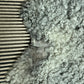 ONE OF A KIND Silver with small light curls Medium Wool Gotland Sheepskin