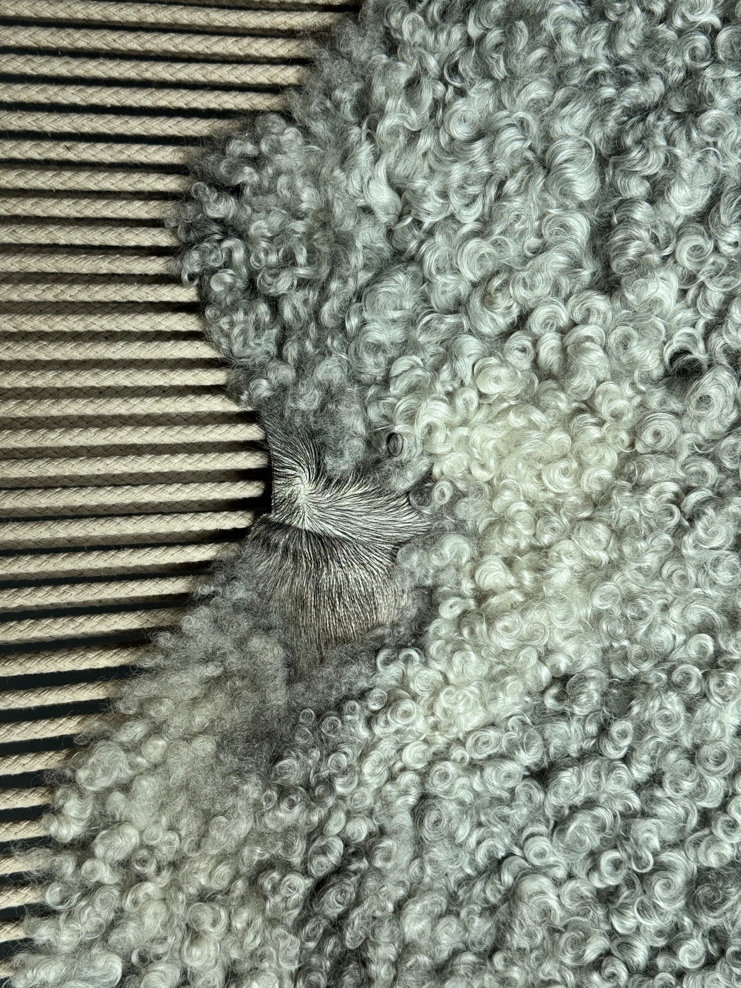 ONE OF A KIND Silver with small light curls Medium Wool Gotland Sheepskin