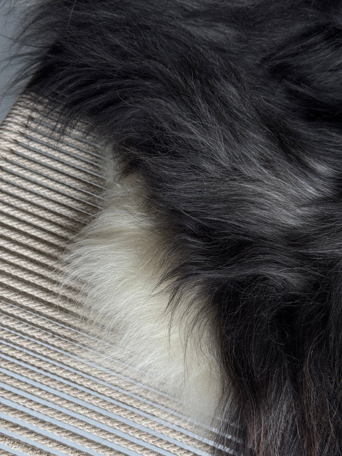 ONE OF A KIND XL Natural Dark Grey Icelandic Sheepskin