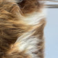 ONE OF A KIND Natural Brown with White Splashes Icelandic Sheepskin