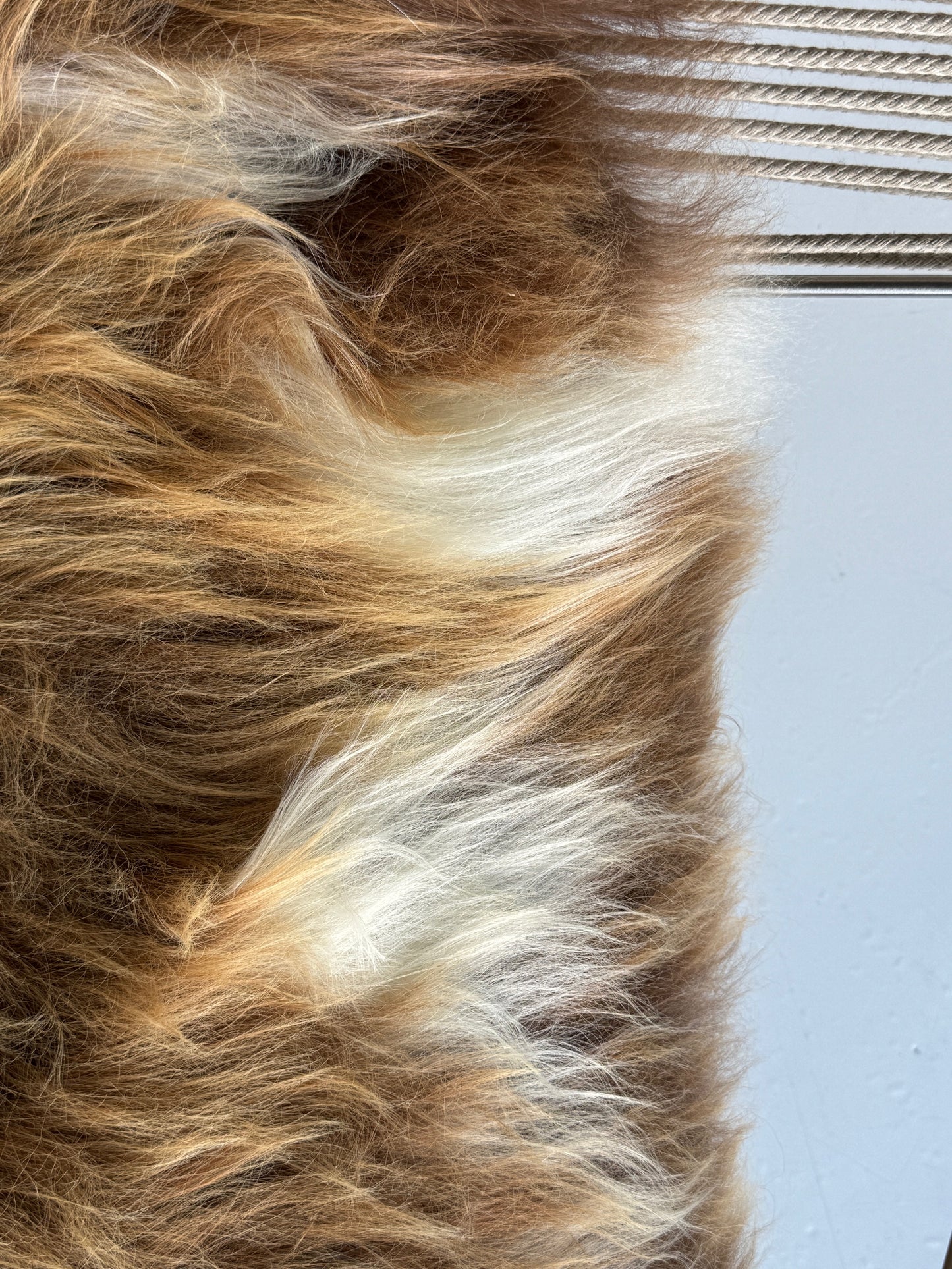 ONE OF A KIND Natural Brown with White Splashes Icelandic Sheepskin