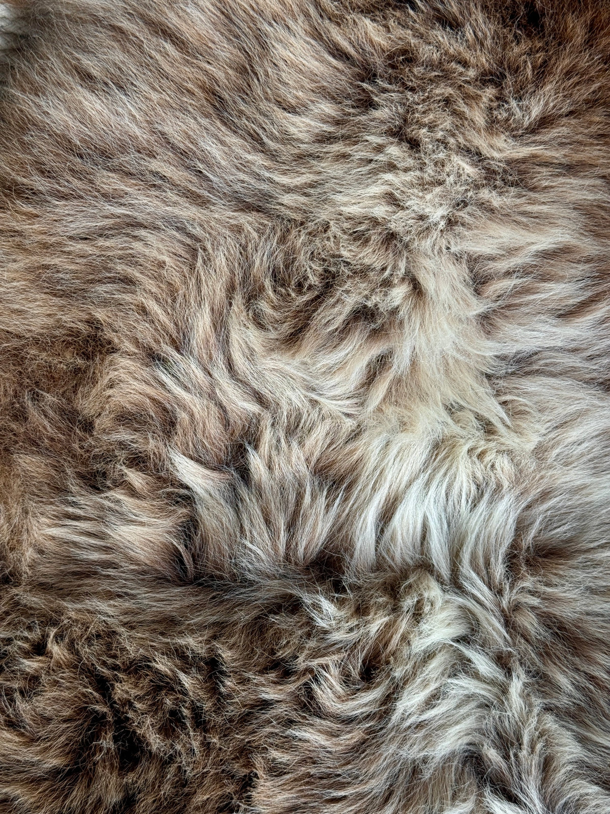 ONE OF A KIND Brown Blend Welsh Sheepskin