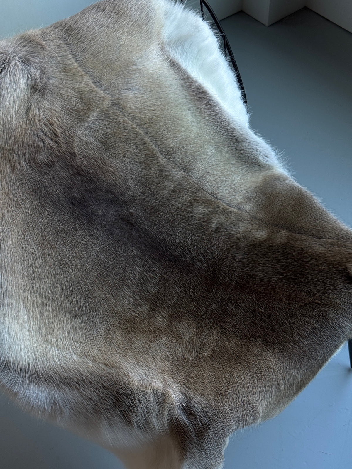 B Grade Reindeer Hide