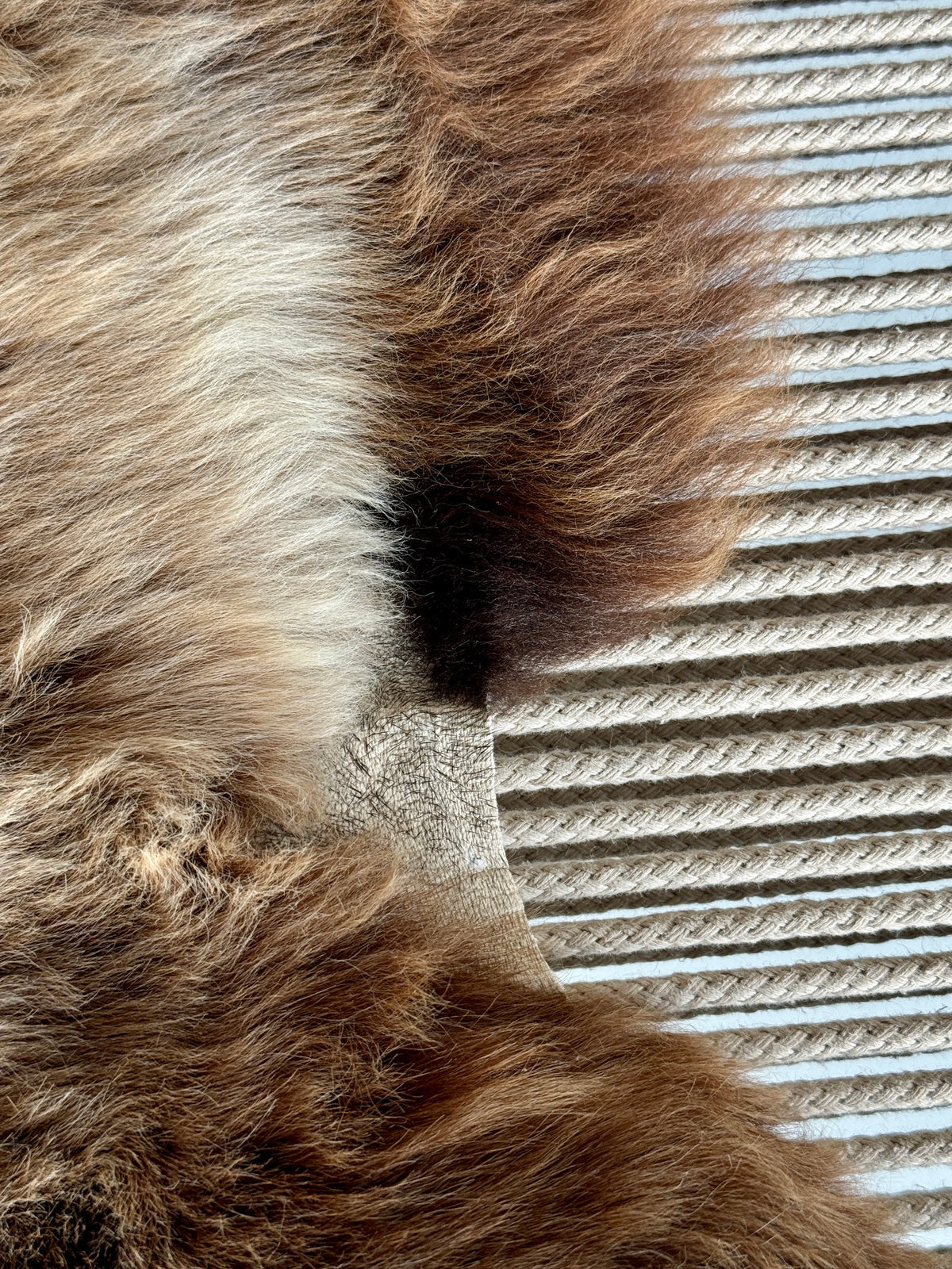 ONE OF A KIND Brown Blend Welsh Sheepskin