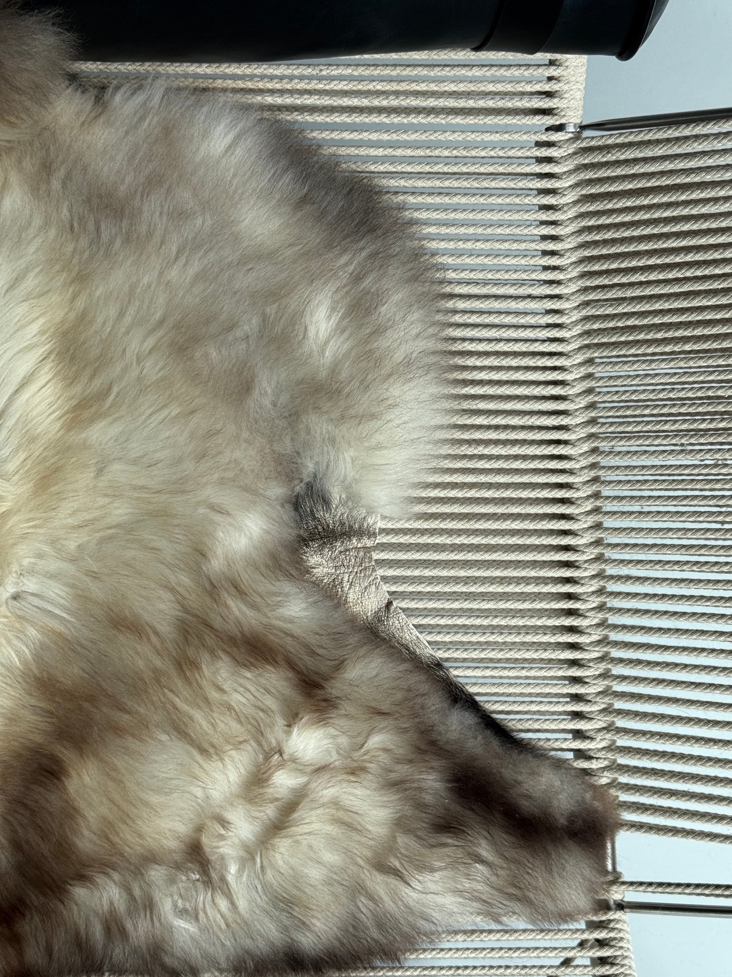 ONE OF A KIND Smoky Welsh Sheepskin