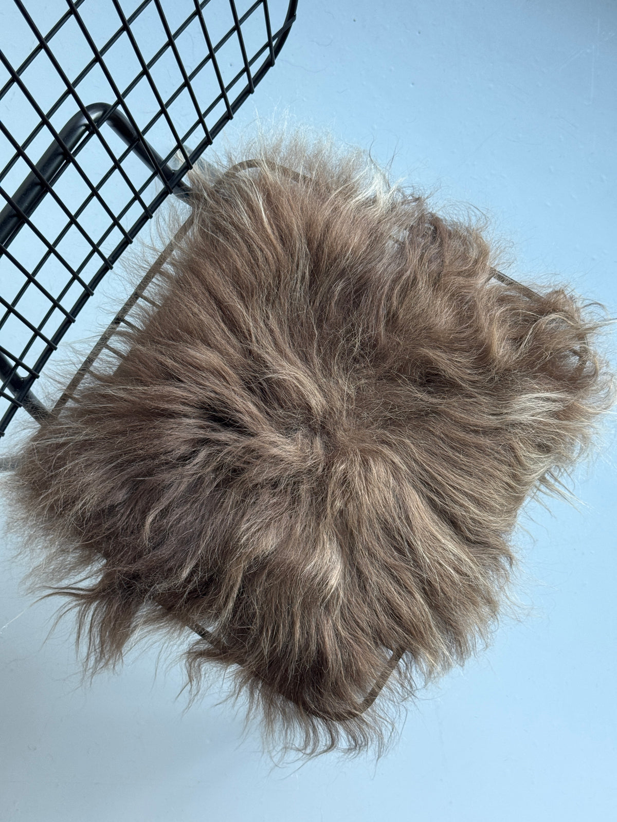 Brown Icelandic Sheepskin Chair Pad 12" x 12"