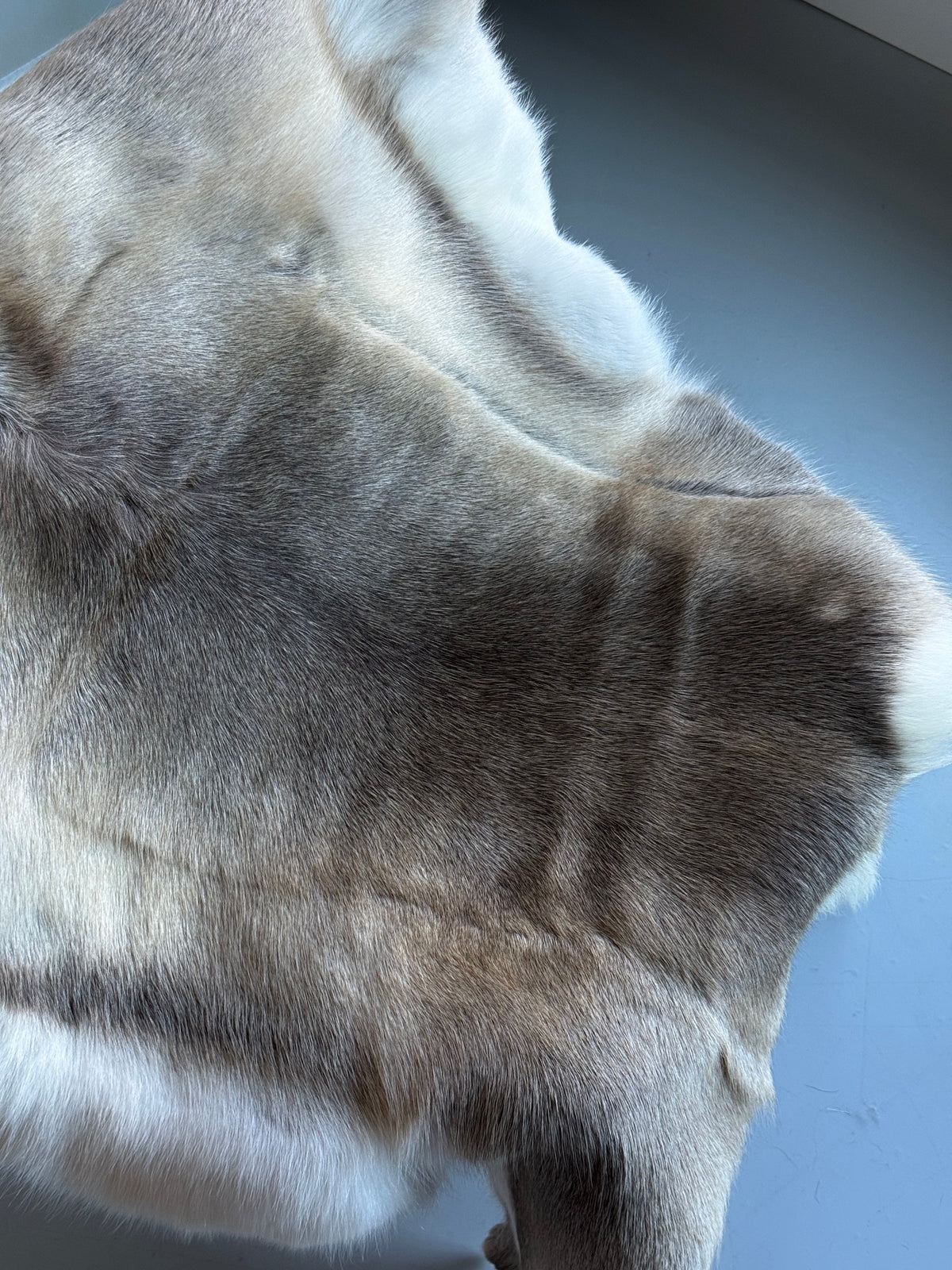 B Grade Reindeer Hide